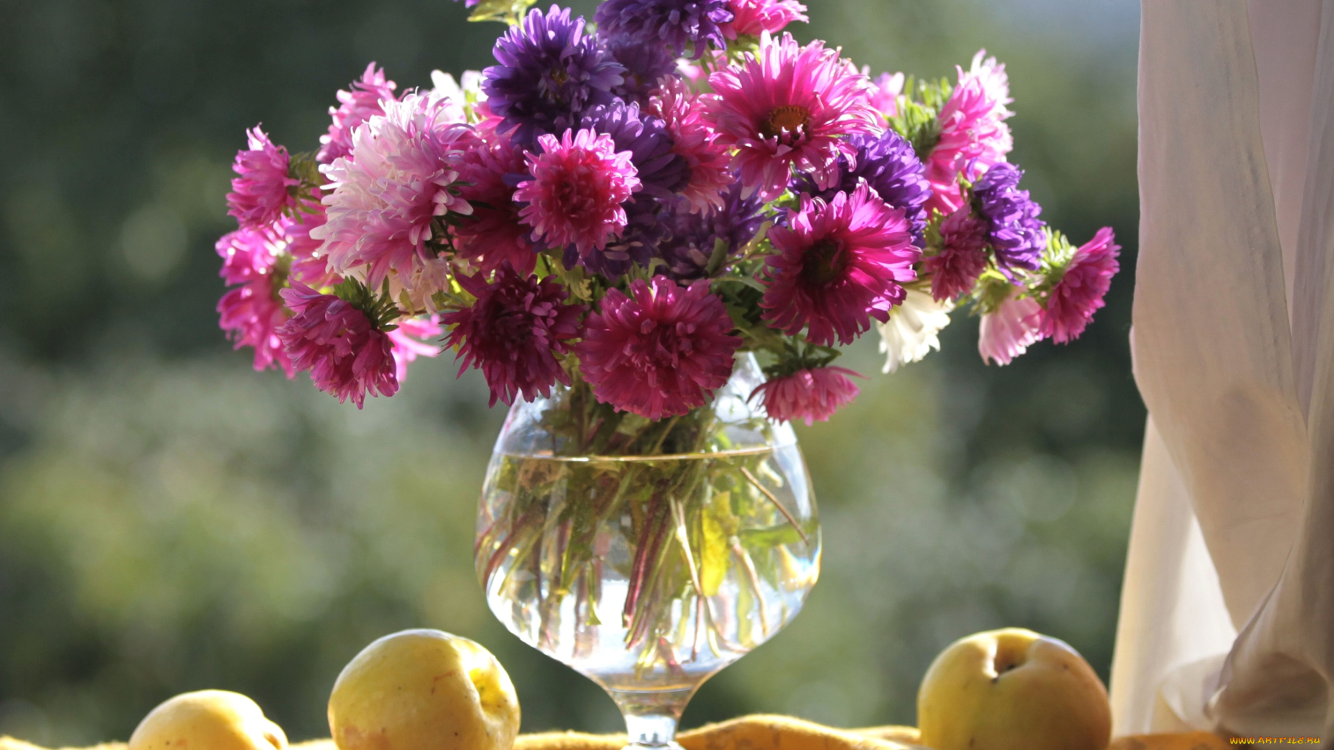 цветы, астры, букет, яблоки