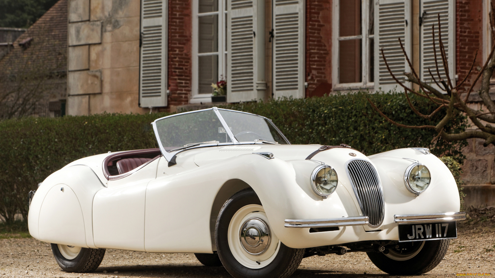 автомобили, jaguar, светлый, roadster, alloy, xk120