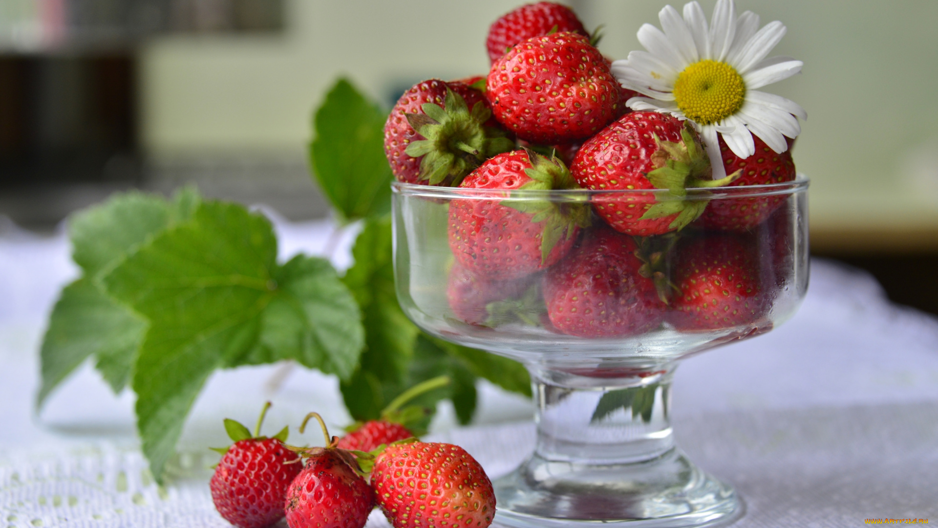 еда, клубника, , земляника, вазочка, ромашка, красный, ягоды