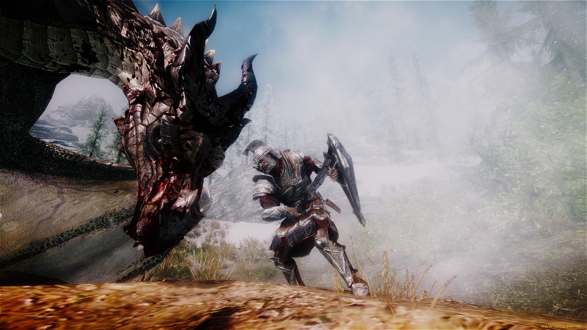 видео, игры, the, elder, scrolls, v, , skyrim, воин, дракон, оружие, фон, взгляд, мужчина