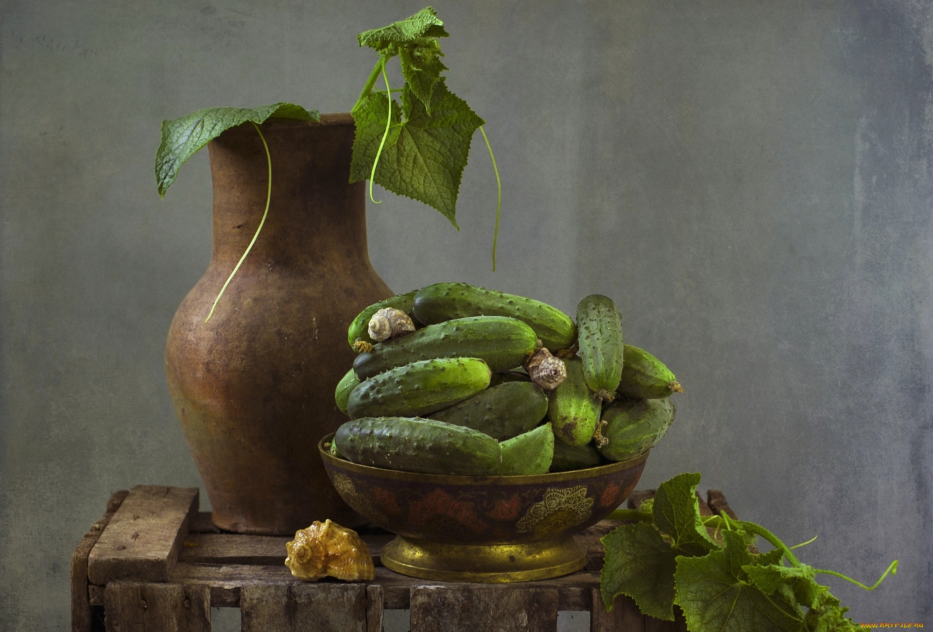 еда, огурцы, текстура, ракушки, кувшин, натюрморт, овощ