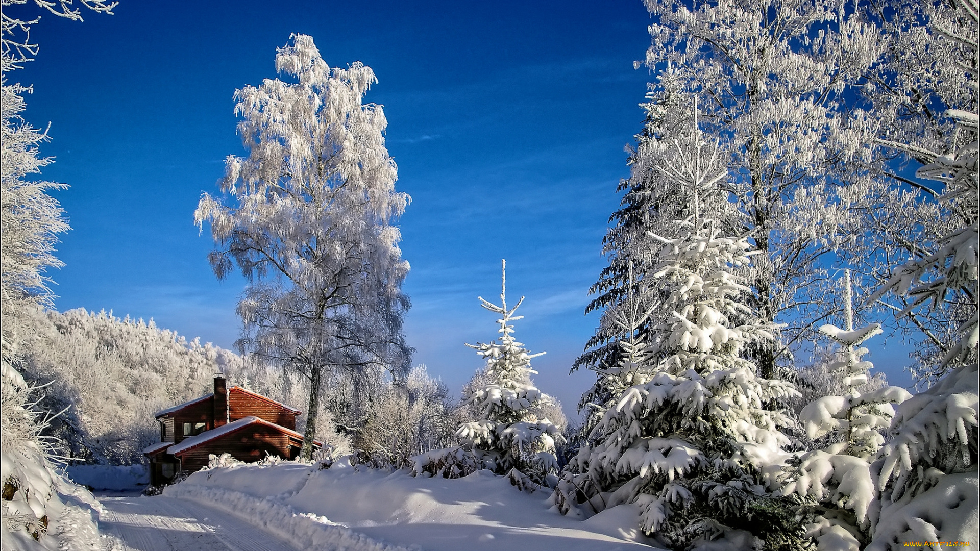 природа, зима, снег