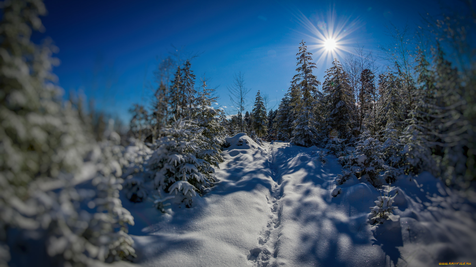 природа, зима, снег