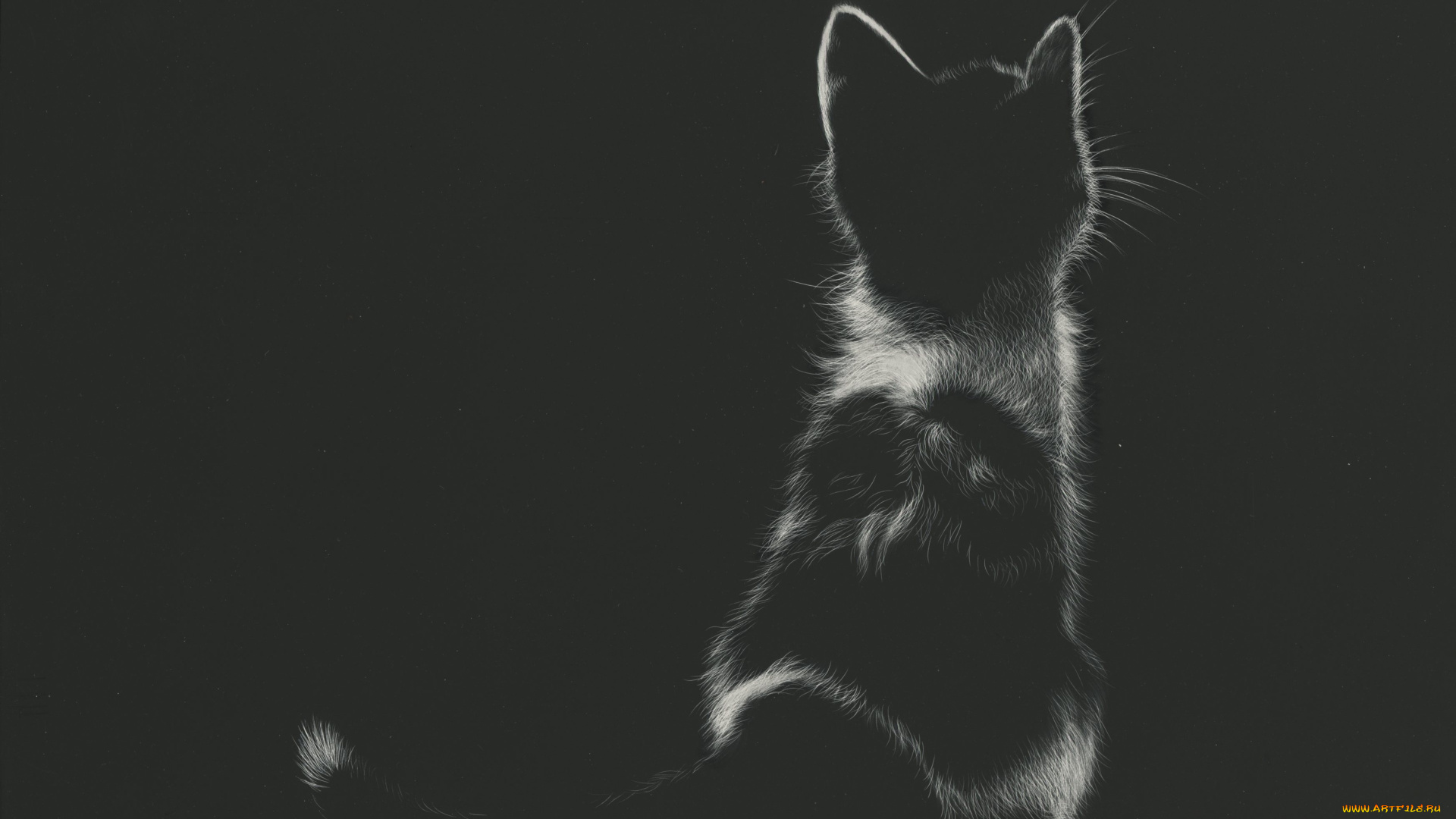 рисованное, животные, , коты, котенок, сидит