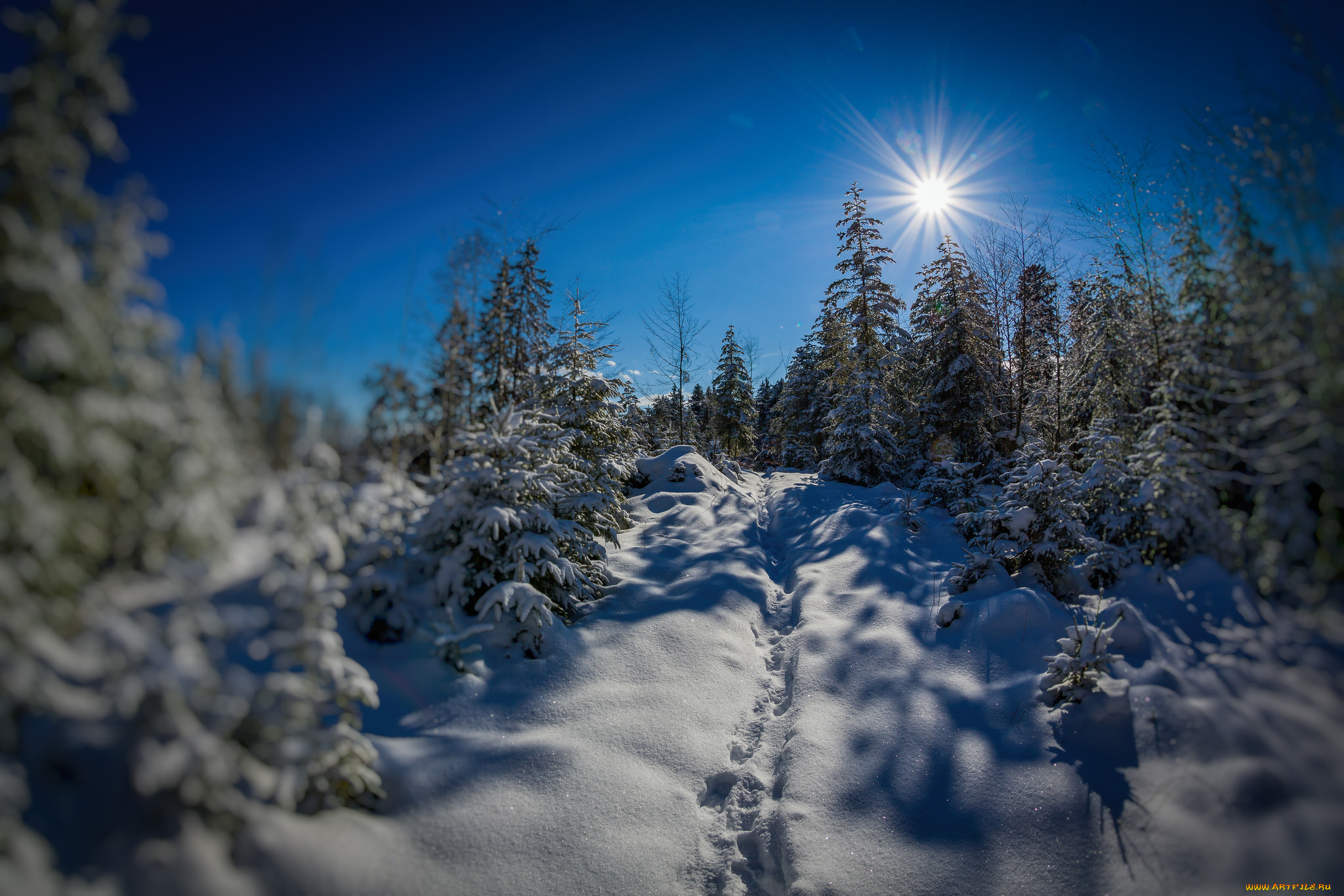 природа, зима, снег