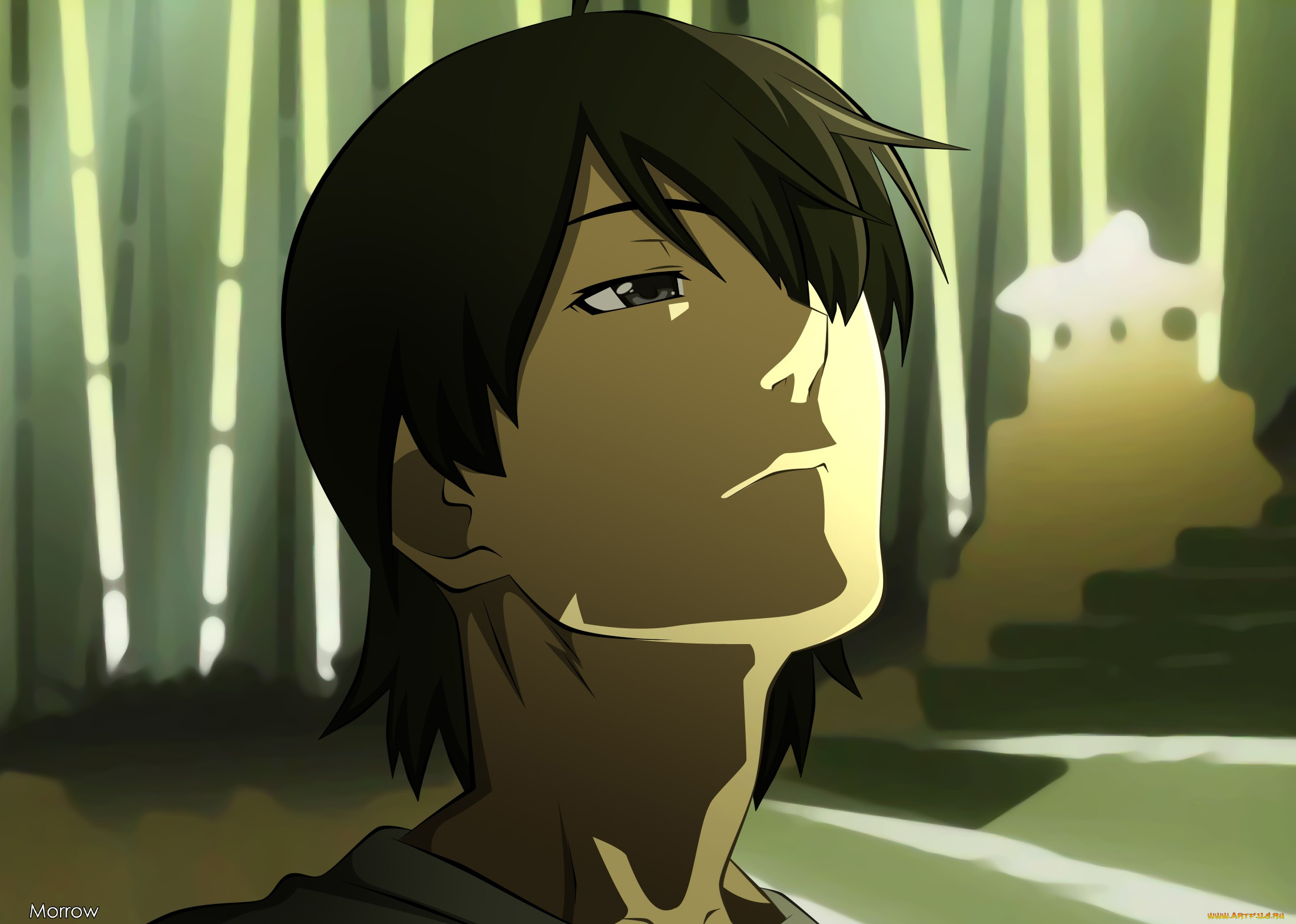 аниме, bakemonogatari, парень