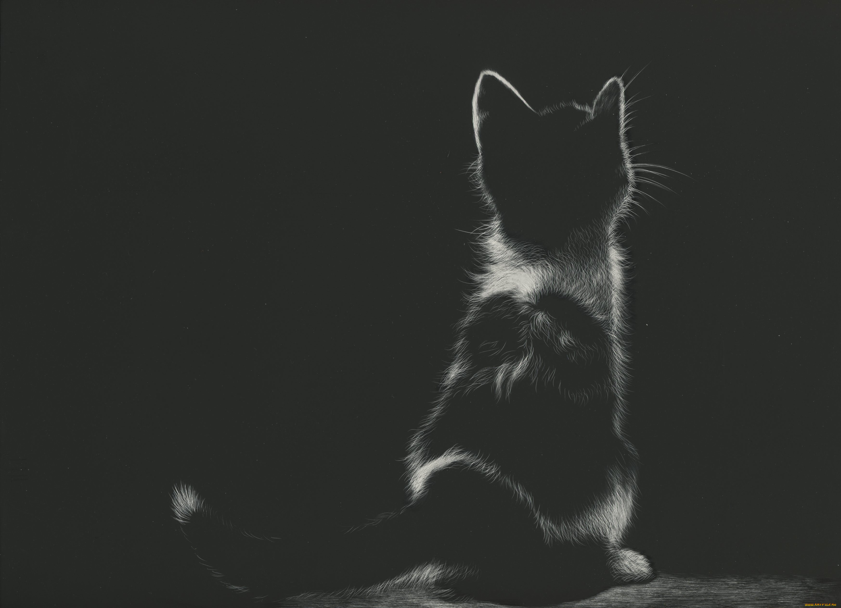 рисованное, животные, , коты, котенок, сидит