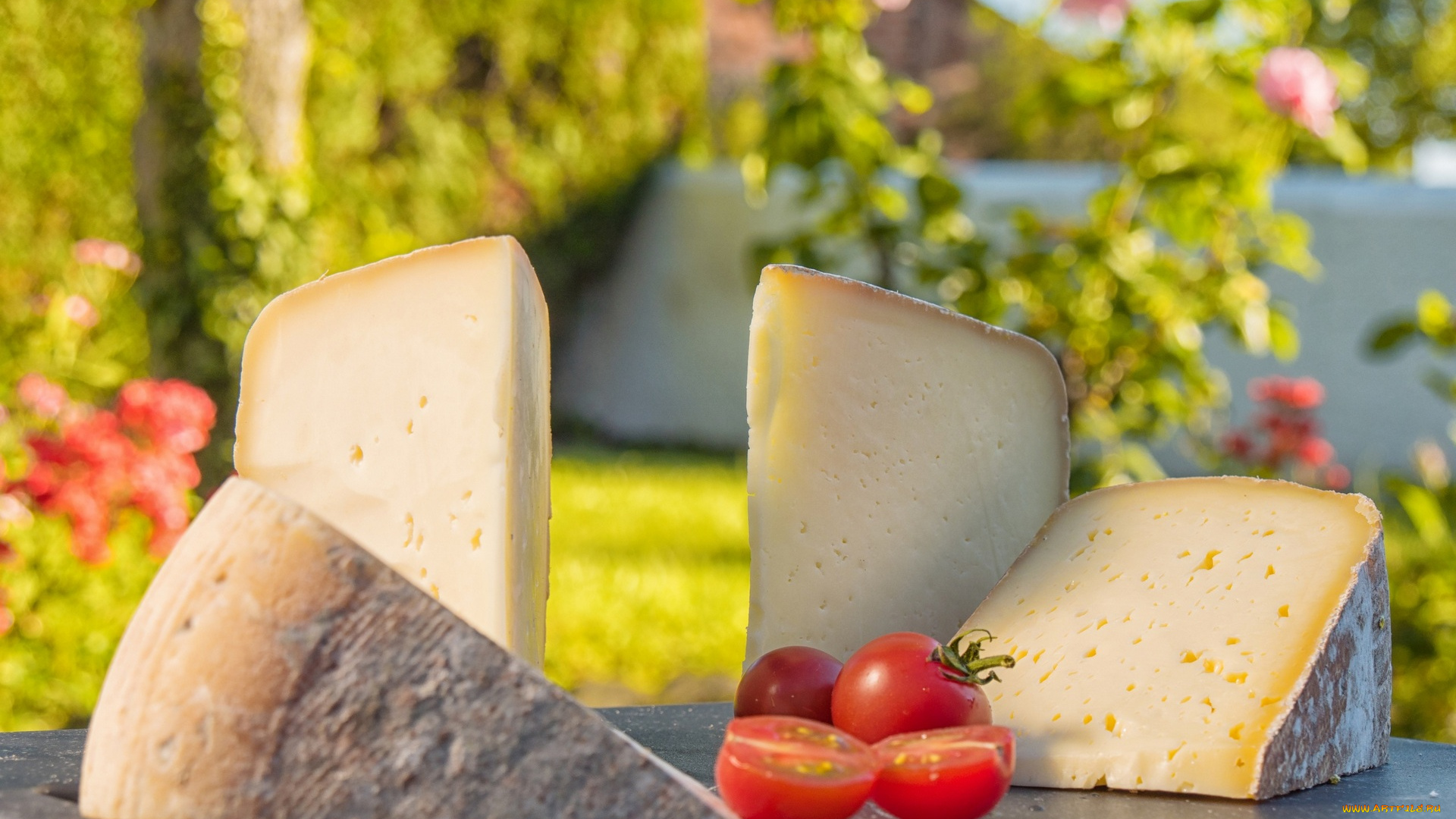 еда, сырные, изделия, растения, помидор, стол, порция, куски, томаты