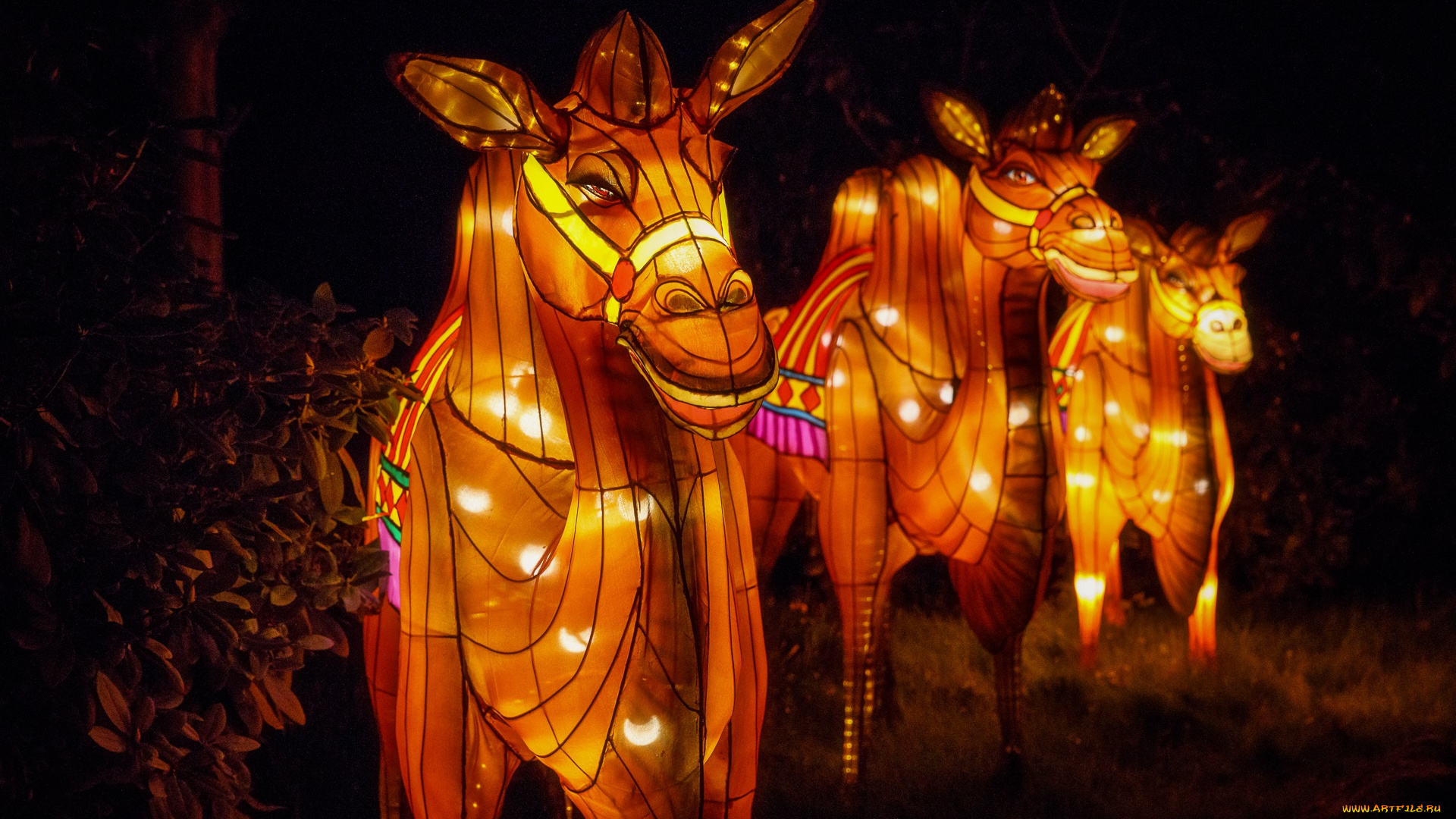 разное, иллюминация, верблюды, вечер, зоопарк, китай, огни, фигура