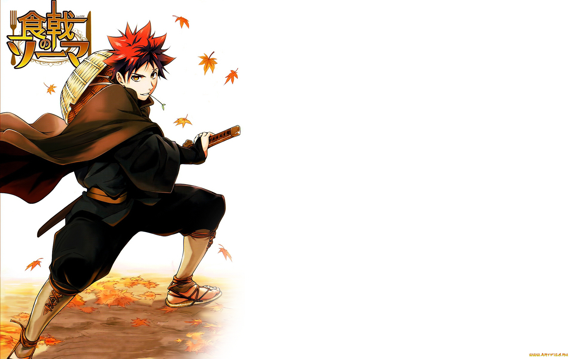 аниме, shokugeki, no, soma, парень, сома