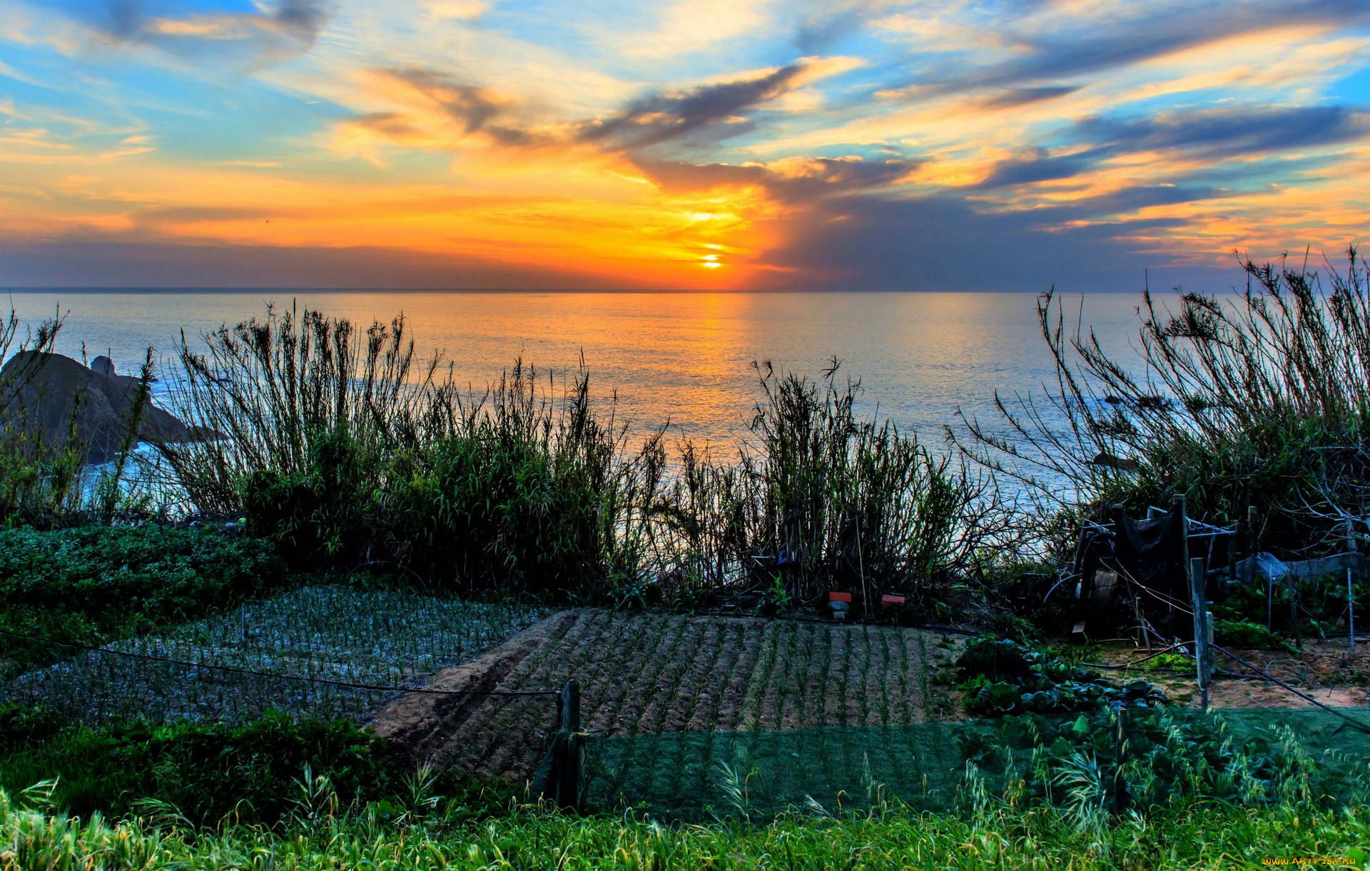 бразилия, природа, восходы, закаты, лблака, растения, огород, водоем