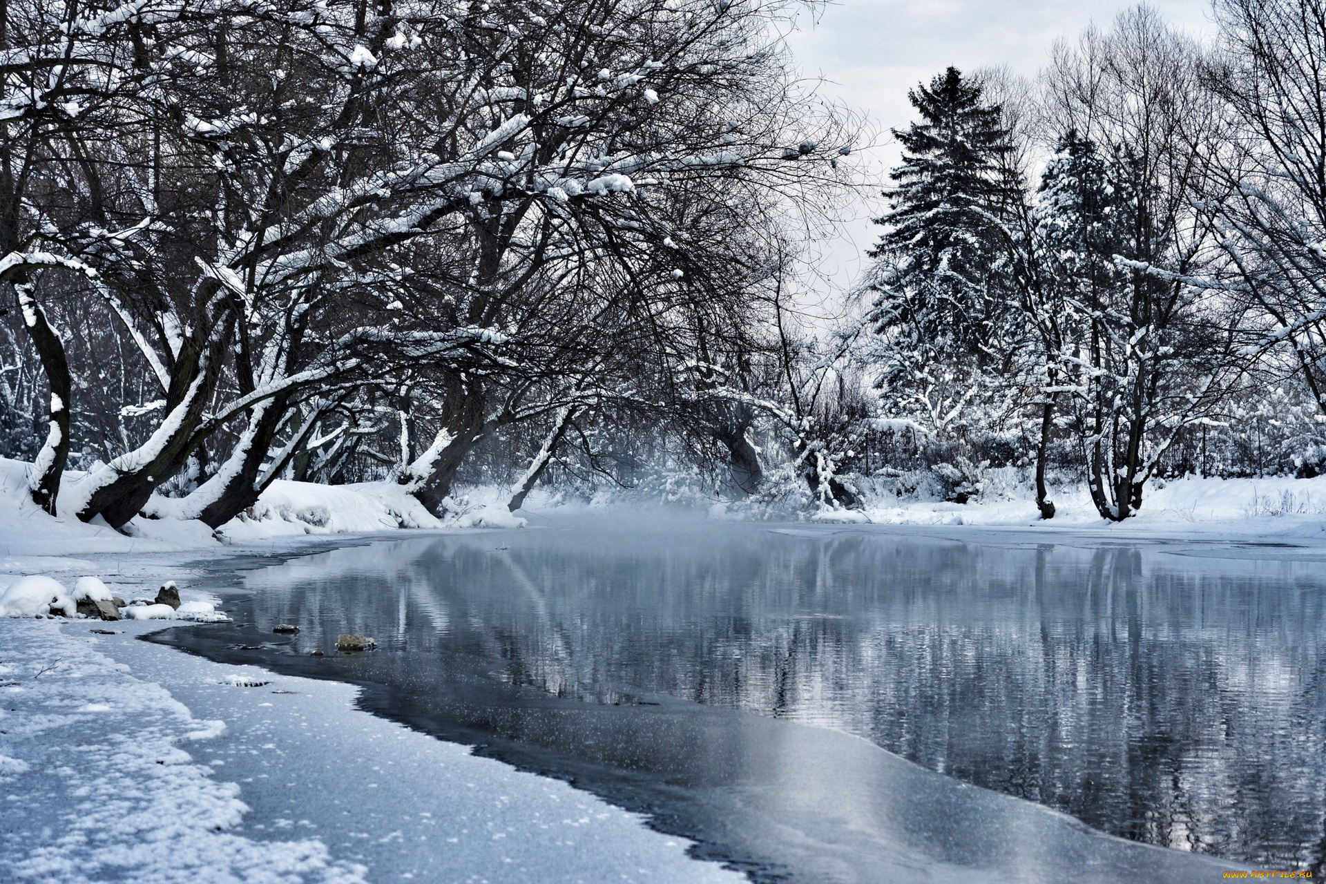 природа, зима, снег, водоем, лед, деревья