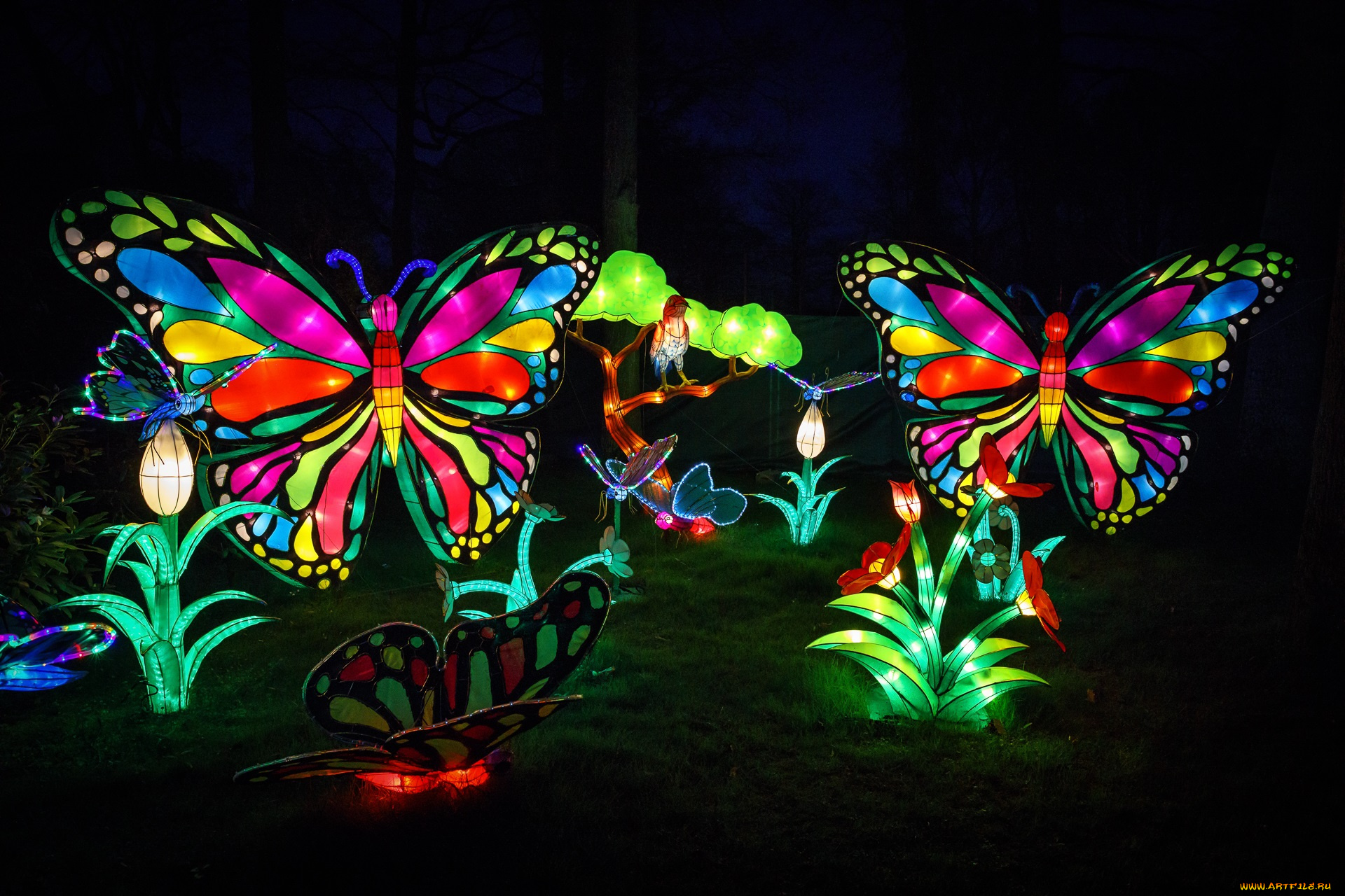 разное, иллюминация, вечер, животные, зоопарк, китай, красиво, огни, персонажи, представление, сказка, фигура, цветы