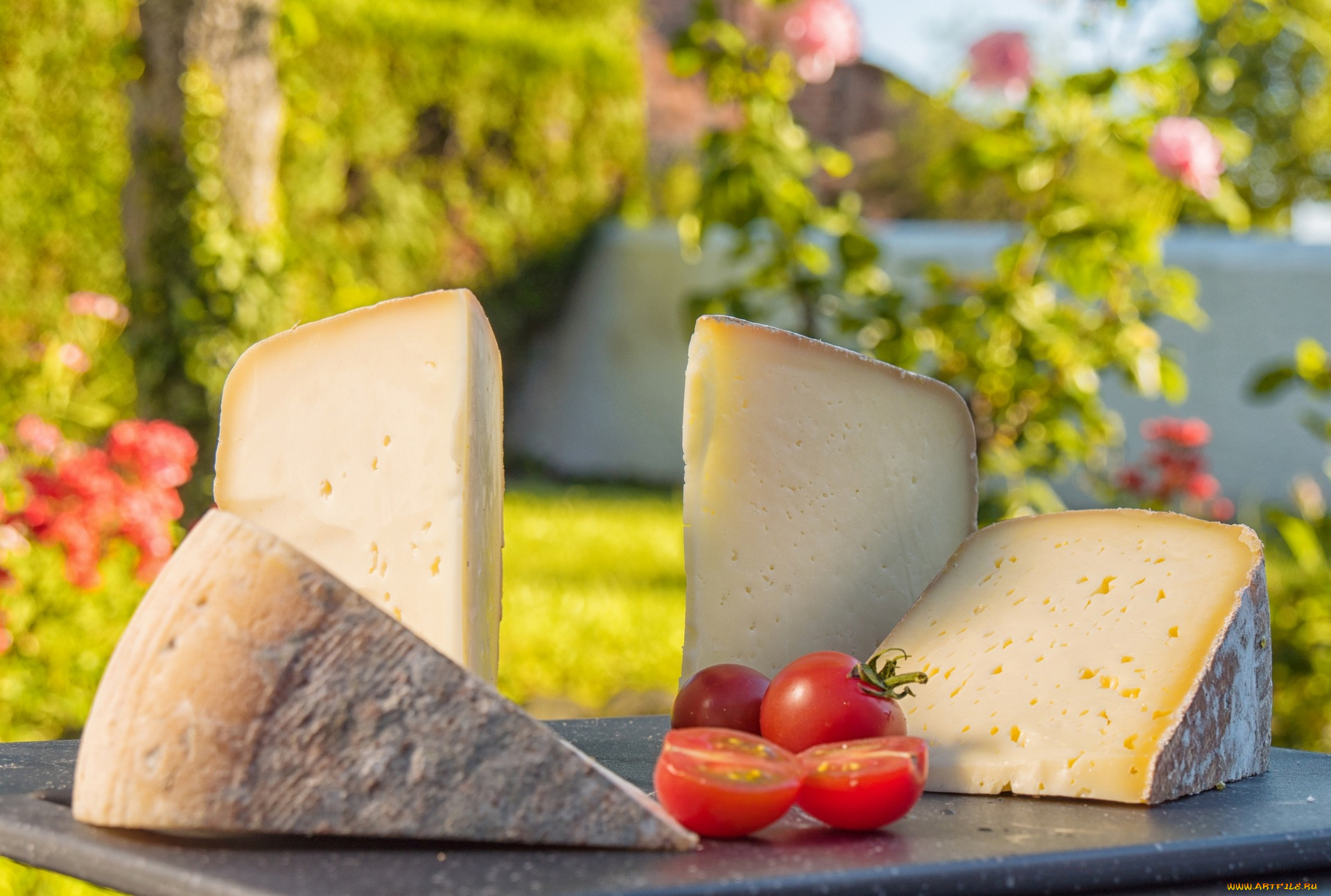 еда, сырные, изделия, растения, помидор, стол, порция, куски, томаты