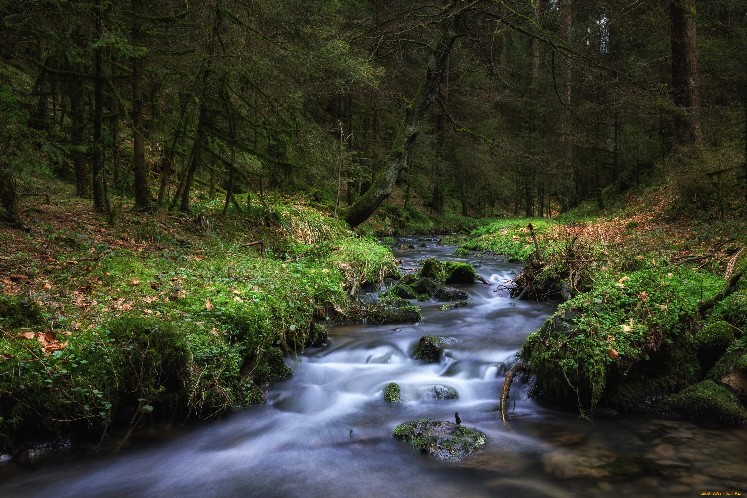 природа, реки, озера, валуны, весна, красиво, лес, мох, ручей