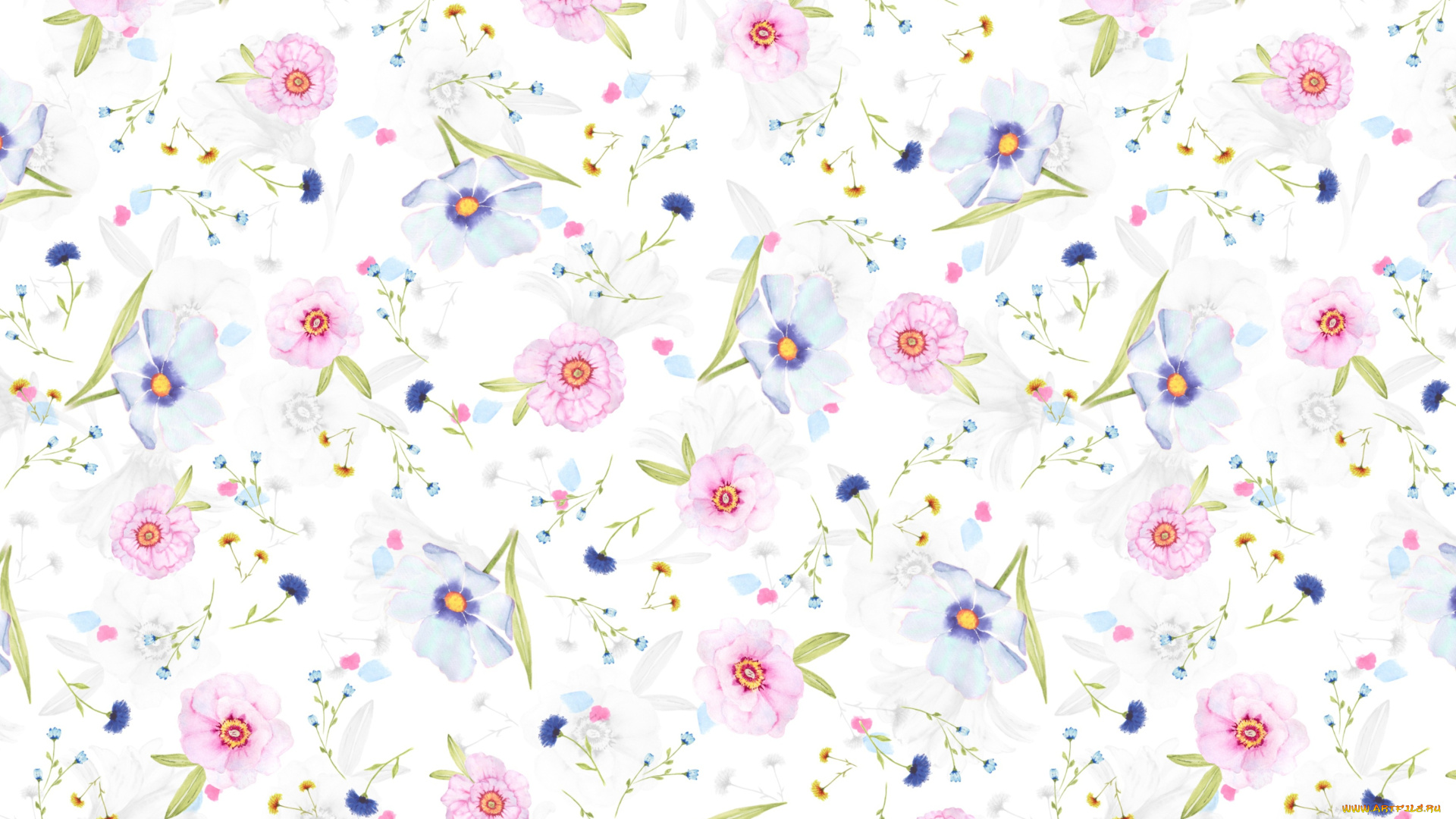 рисованное, цветы, маргаритки, цветочки, лепестки, фон