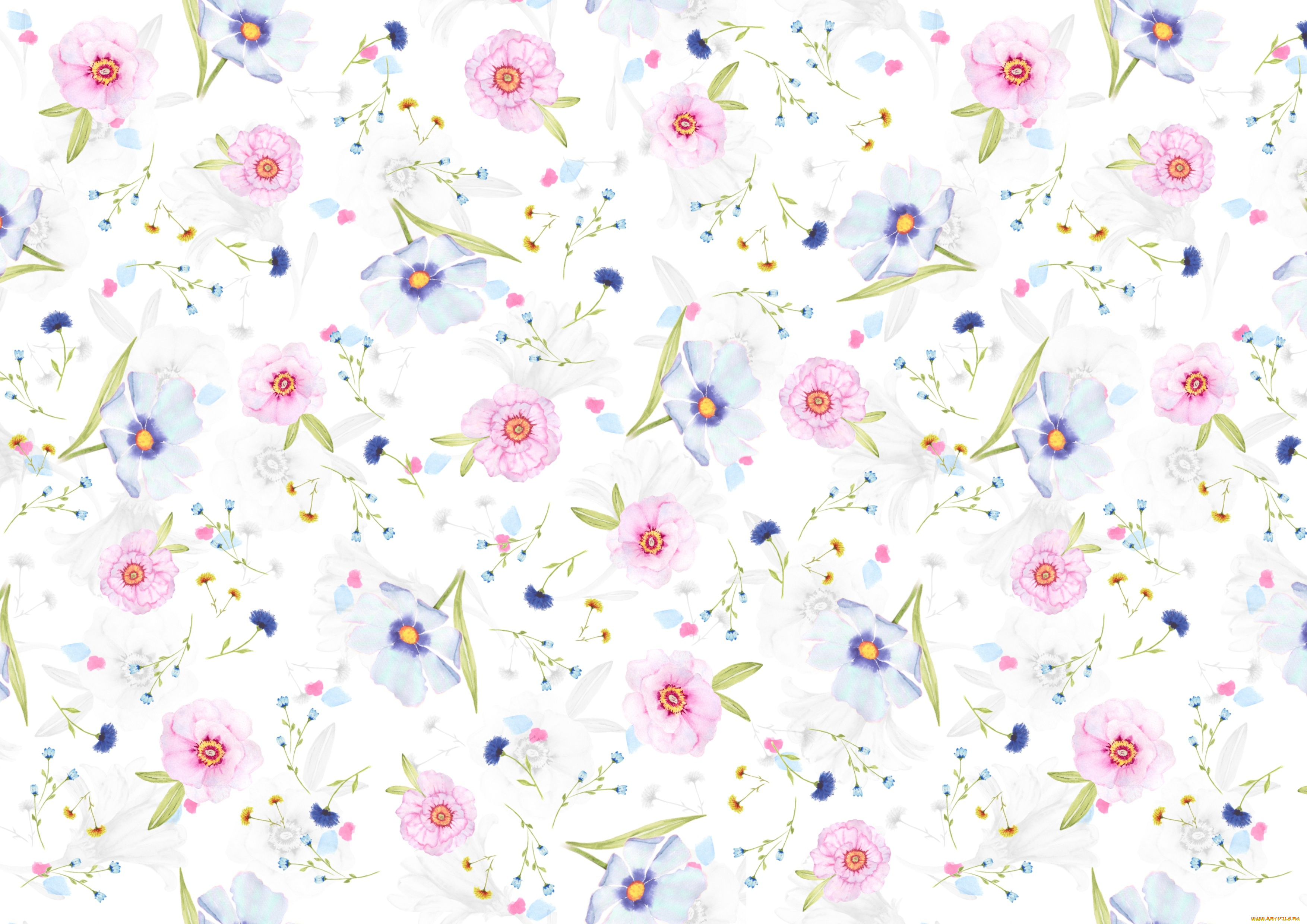 рисованное, цветы, маргаритки, цветочки, лепестки, фон