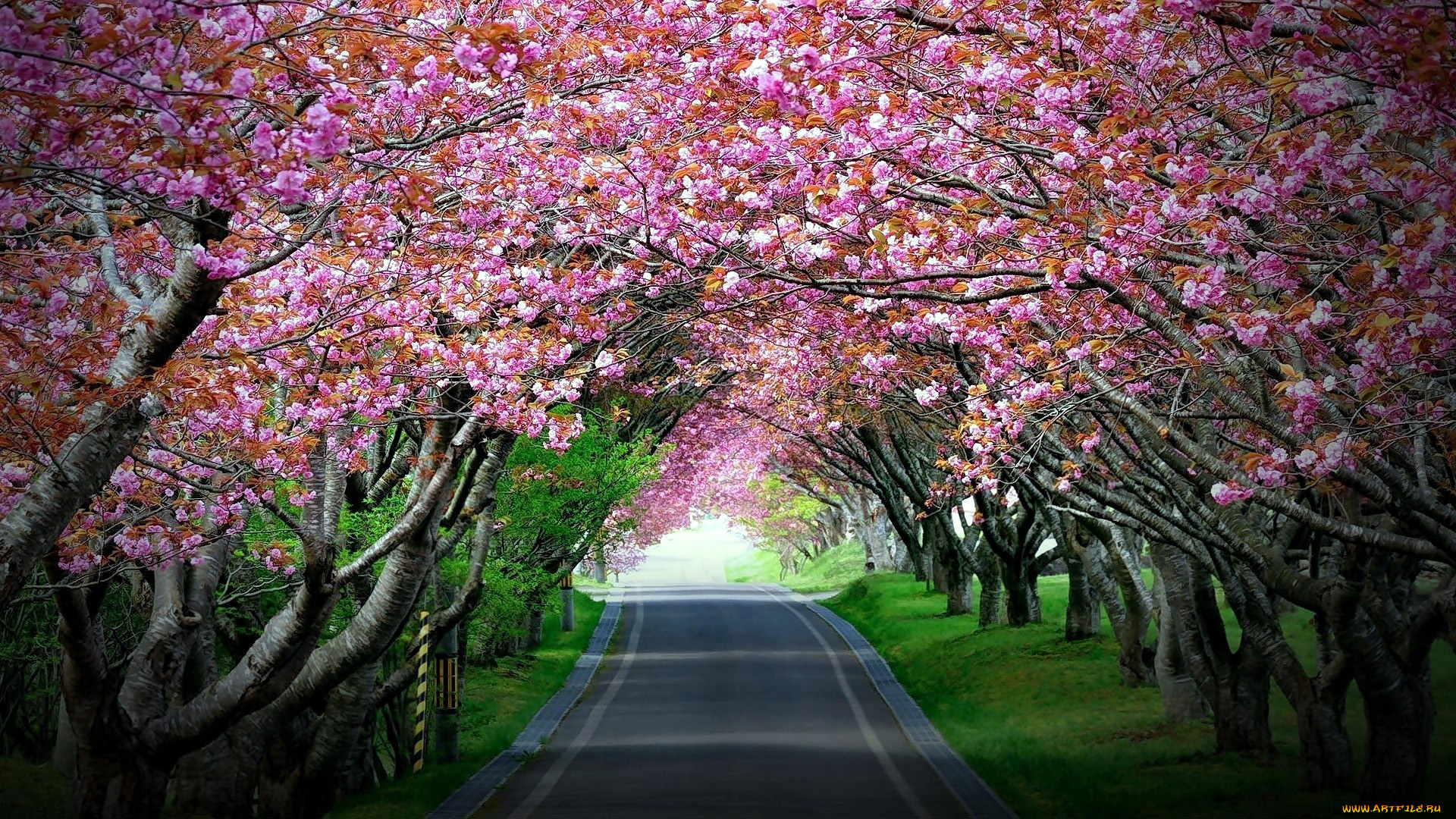 природа, дороги, шоссе