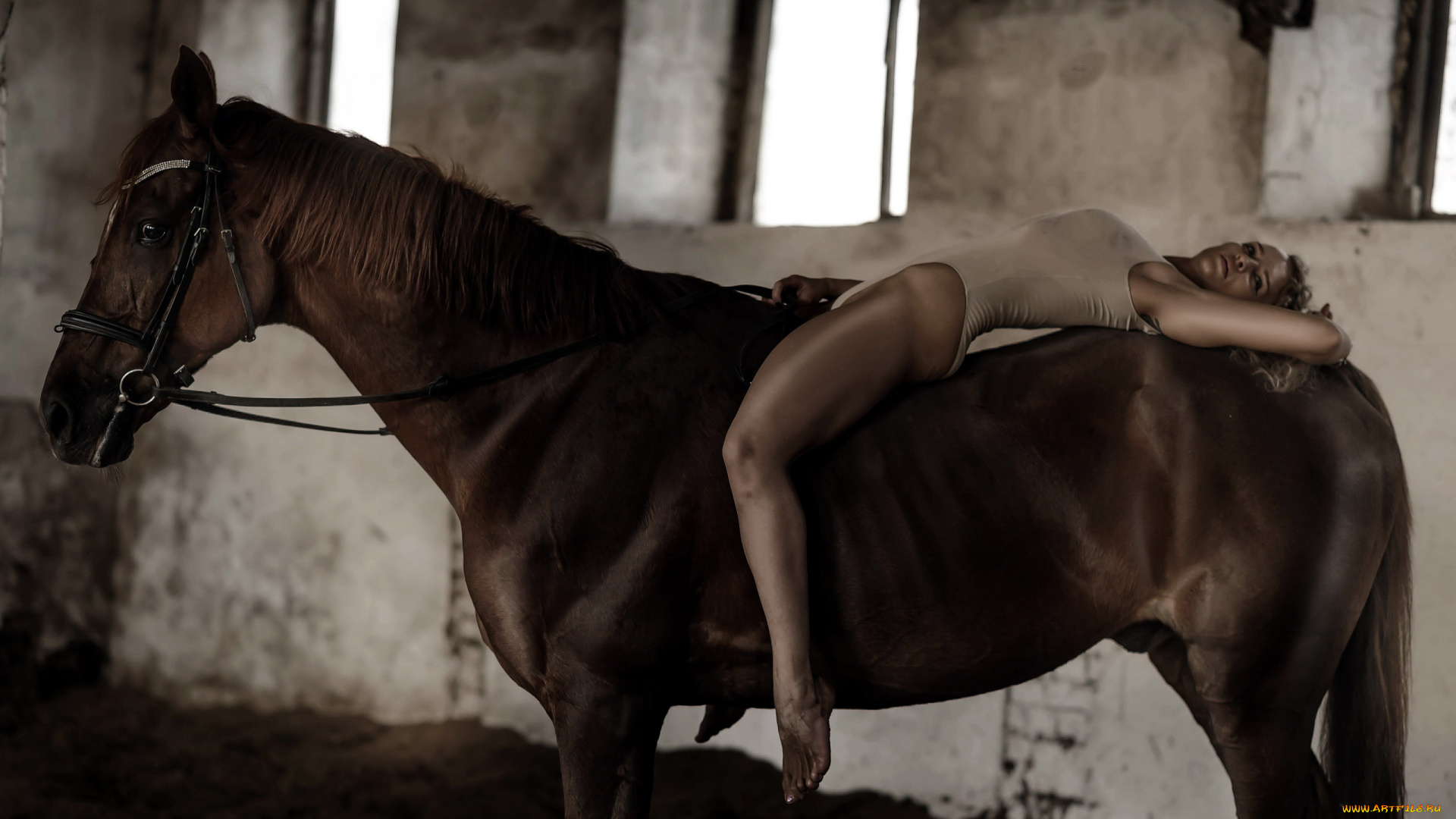 девушки, -, блондинки, , светловолосые, лошадь, наездница, поза