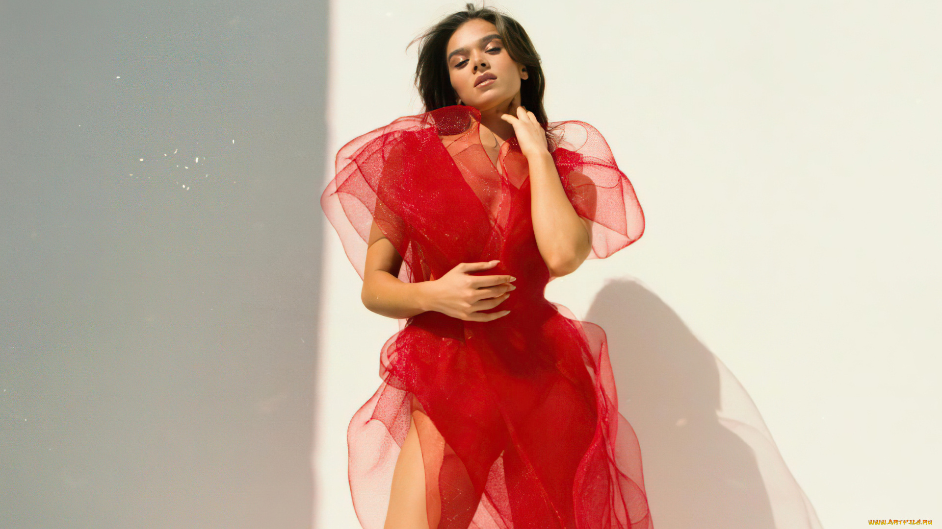 девушки, hailee, steinfeld, шатенка, платье