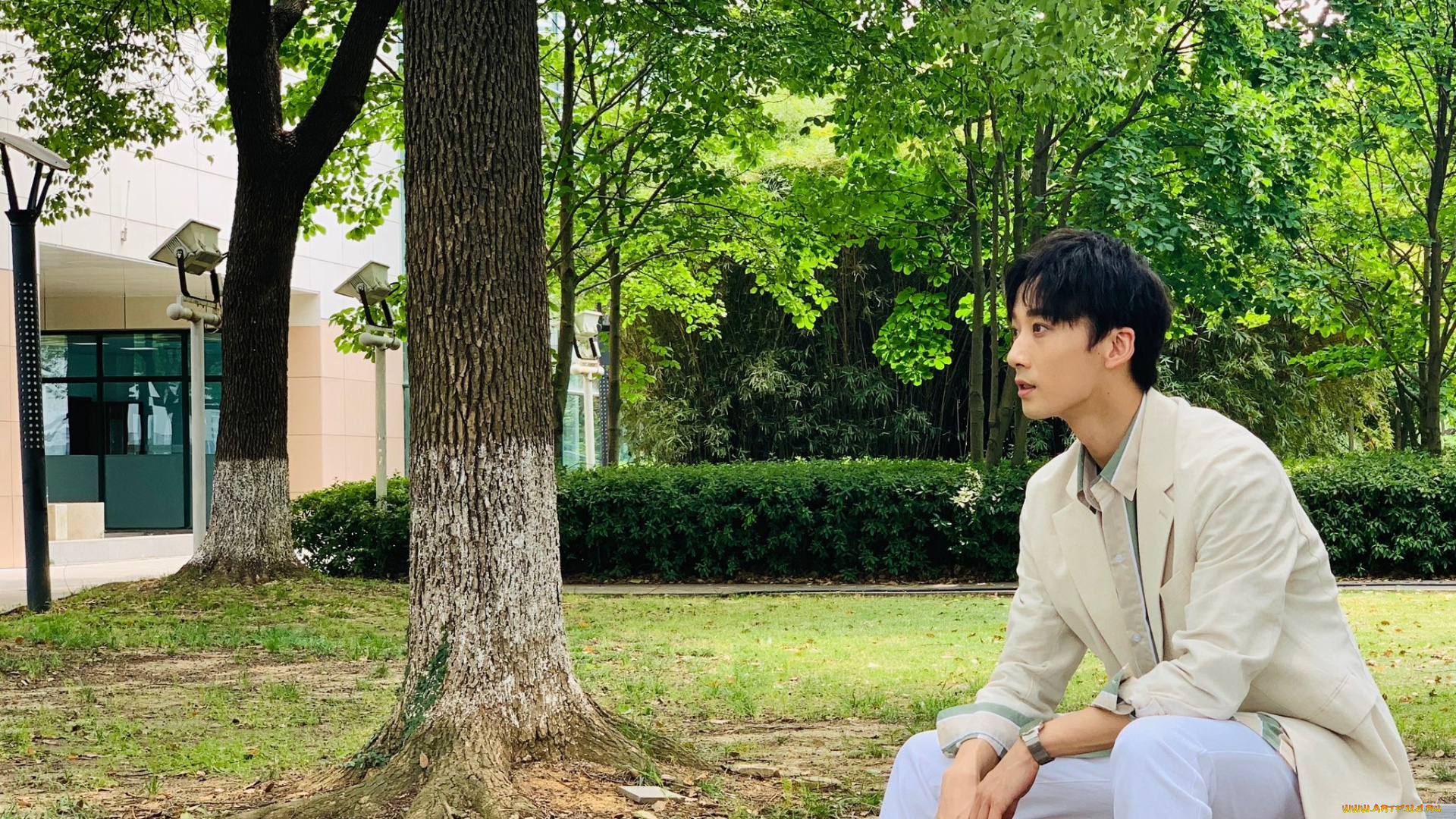 мужчины, li, bo, wen, li, bo, wen