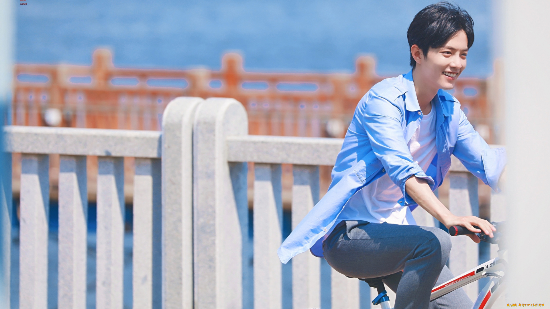 мужчины, xiao, zhan, актер, велосипед, забор