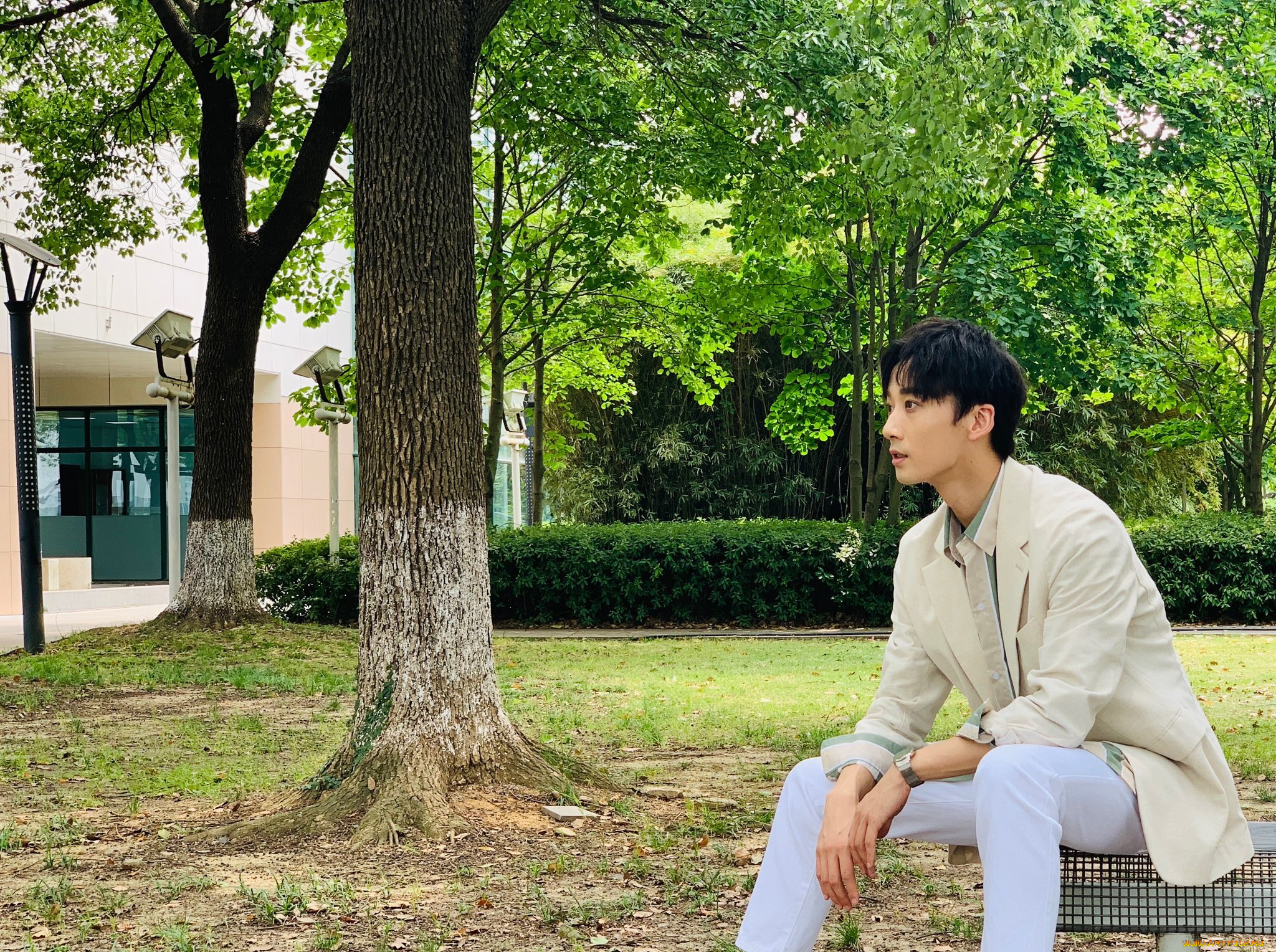 мужчины, li, bo, wen, li, bo, wen