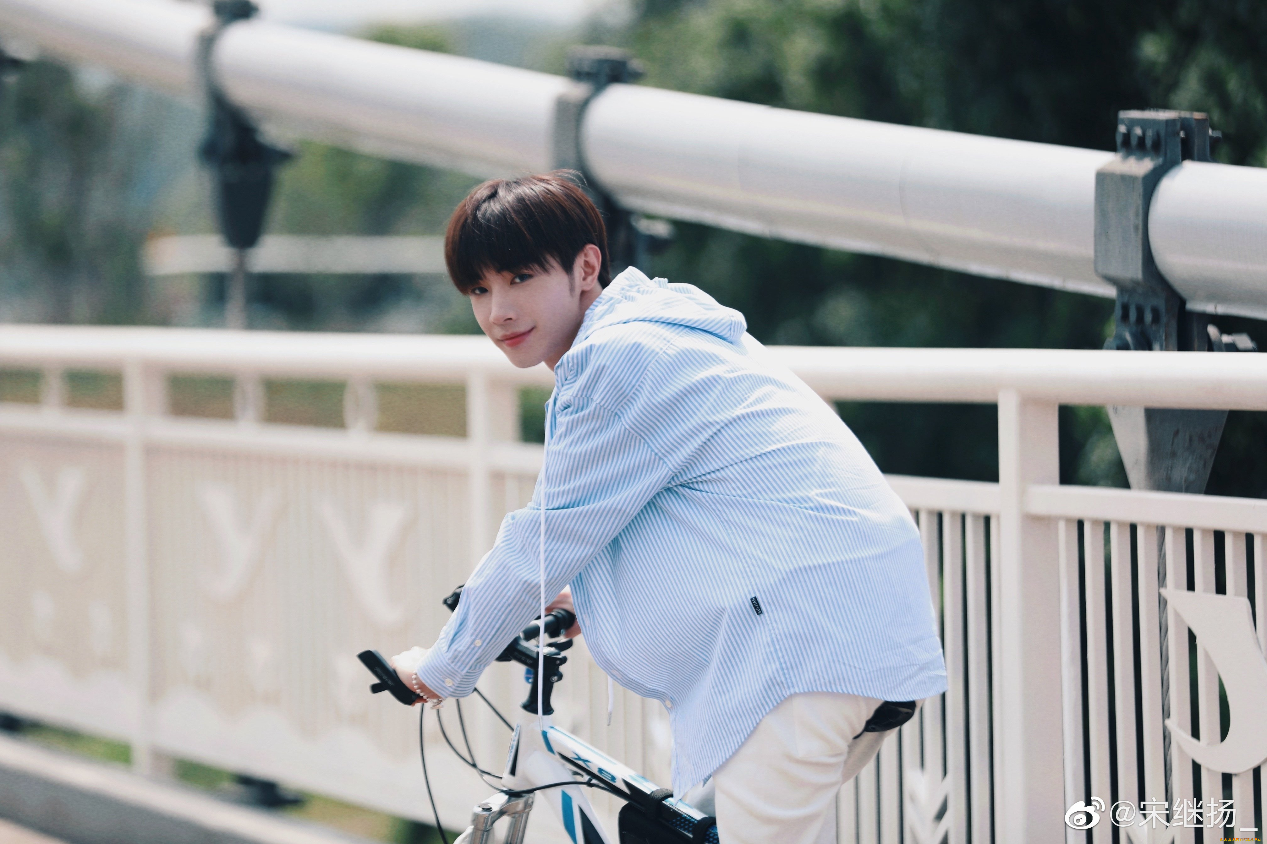 мужчины, song, ji, yang, сун, цзиян, китайский, актёр, певец