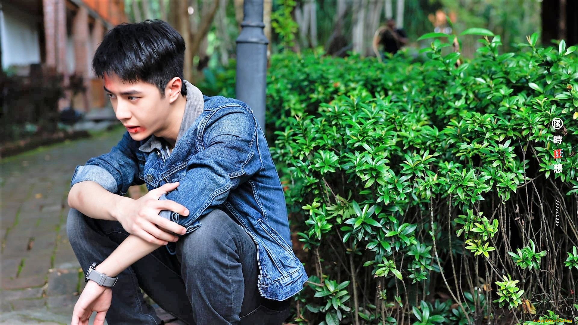 кино, фильмы, being, a, hero, чэнь, юй, ссадины, кусты