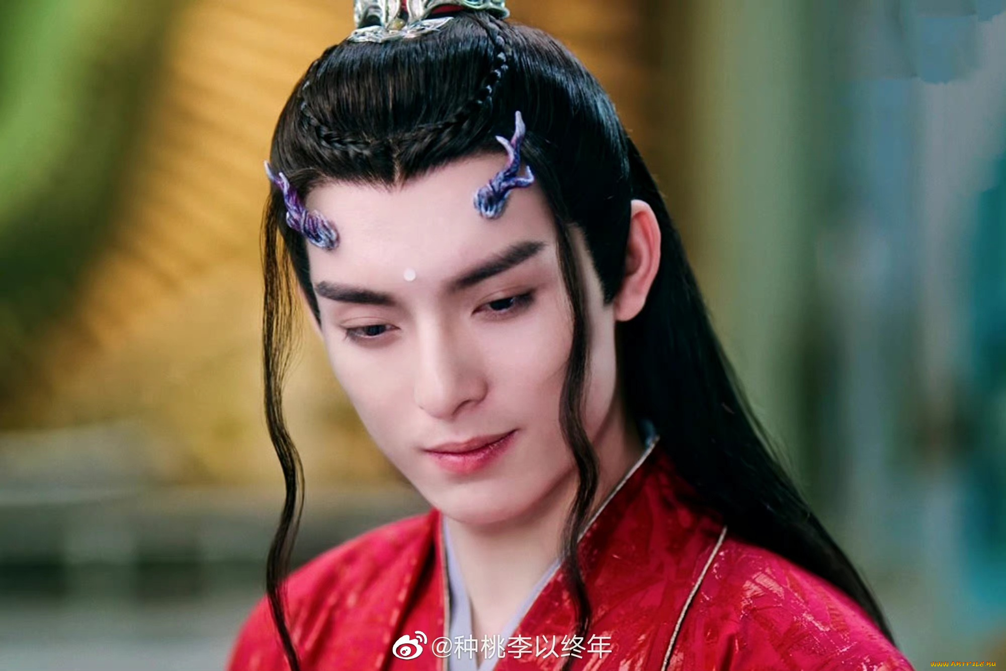 кино, фильмы, immortal, samsara, вечная, сансара, щепки, агарового, дерева, ван, хао, сюань