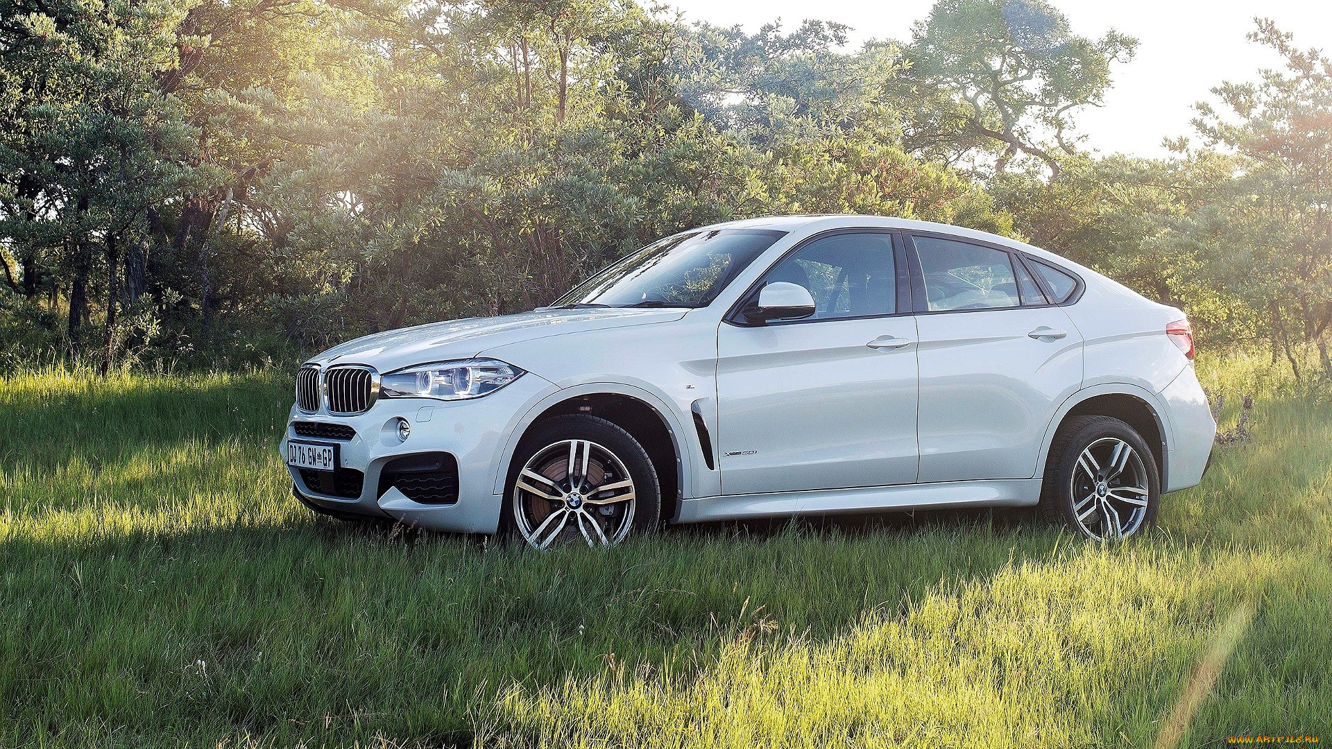 bmw, x6, автомобили, bmw, белый, поляна, трава, деревья