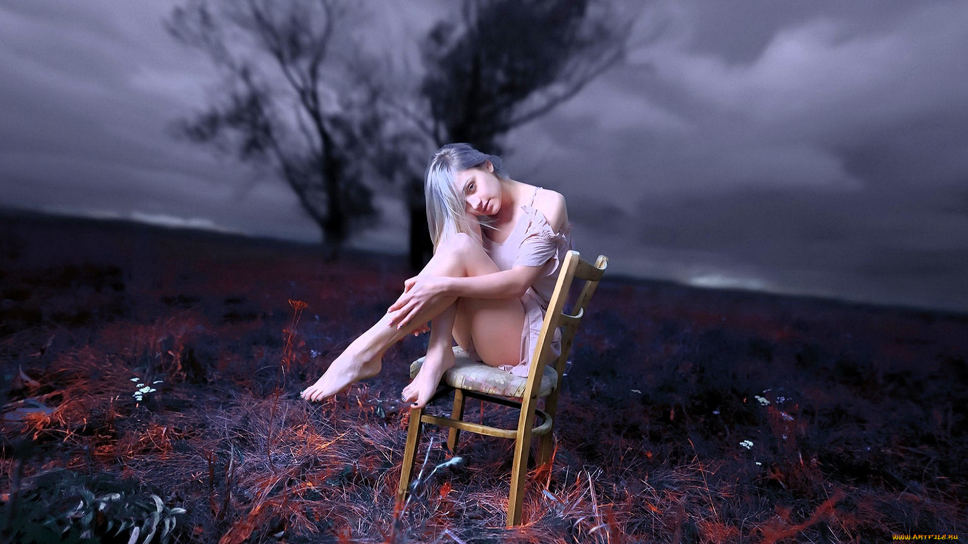 девушки, -, блондинки, , светловолосые, блондинка, платье, стул, поле, дерево, тучи