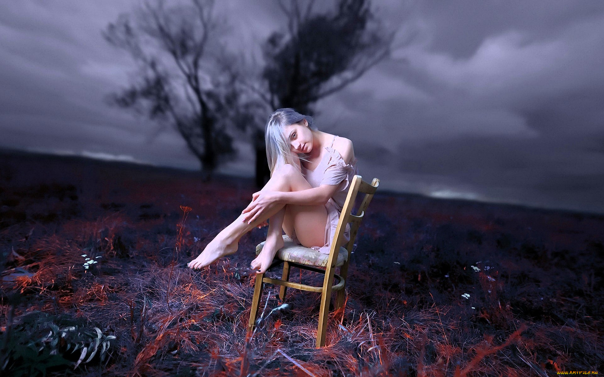 девушки, -, блондинки, , светловолосые, блондинка, платье, стул, поле, дерево, тучи