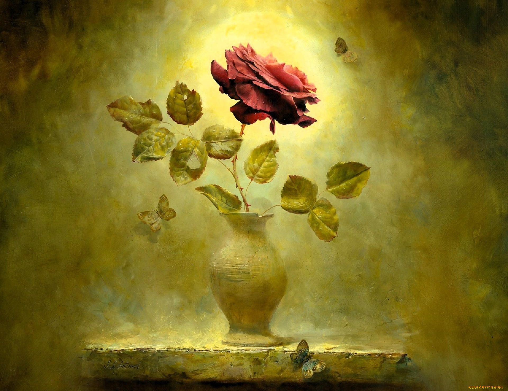 рисованное, алексей, антонов, роза, ваза, полка, бабочки