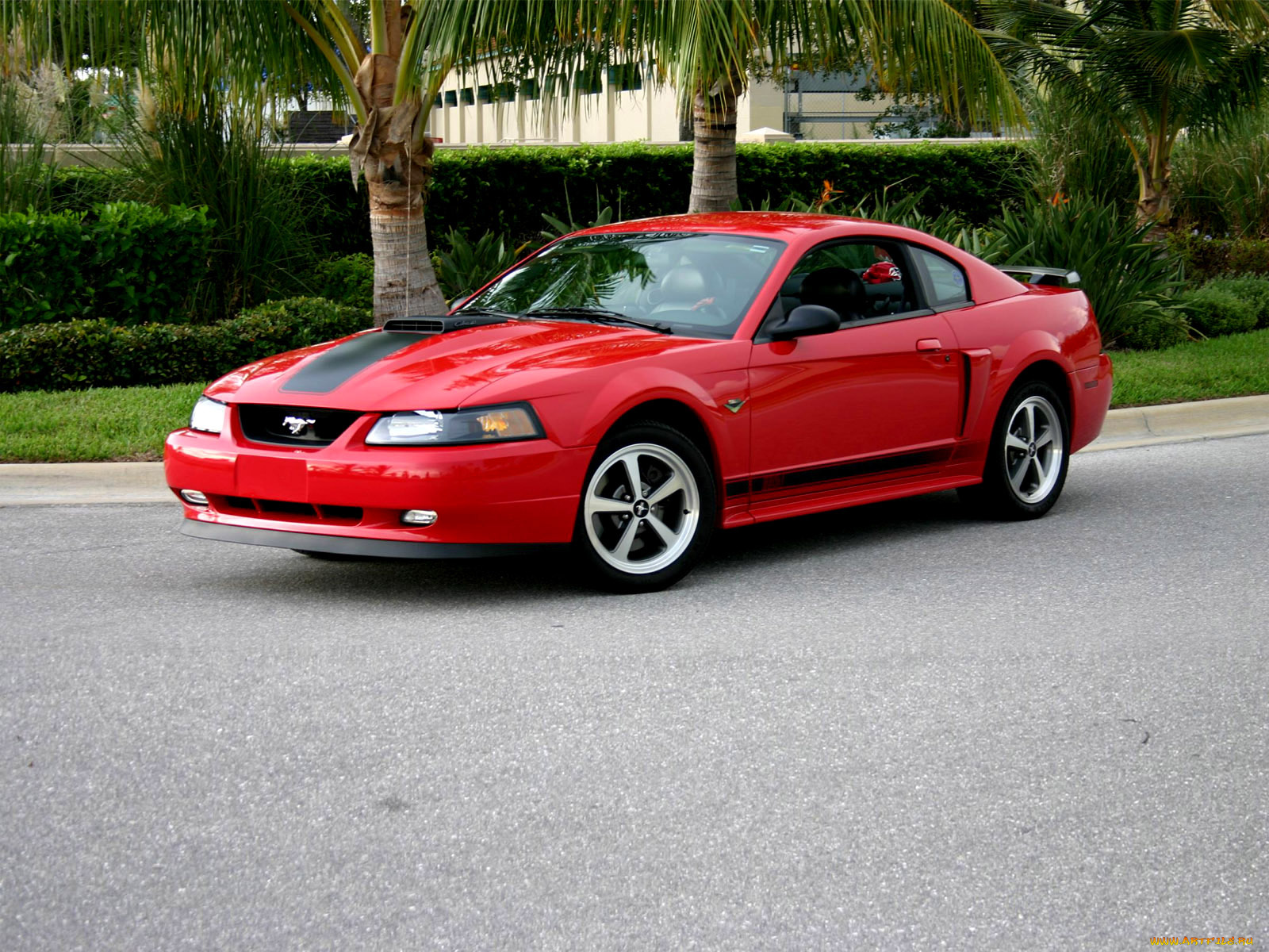 автомобили, ford