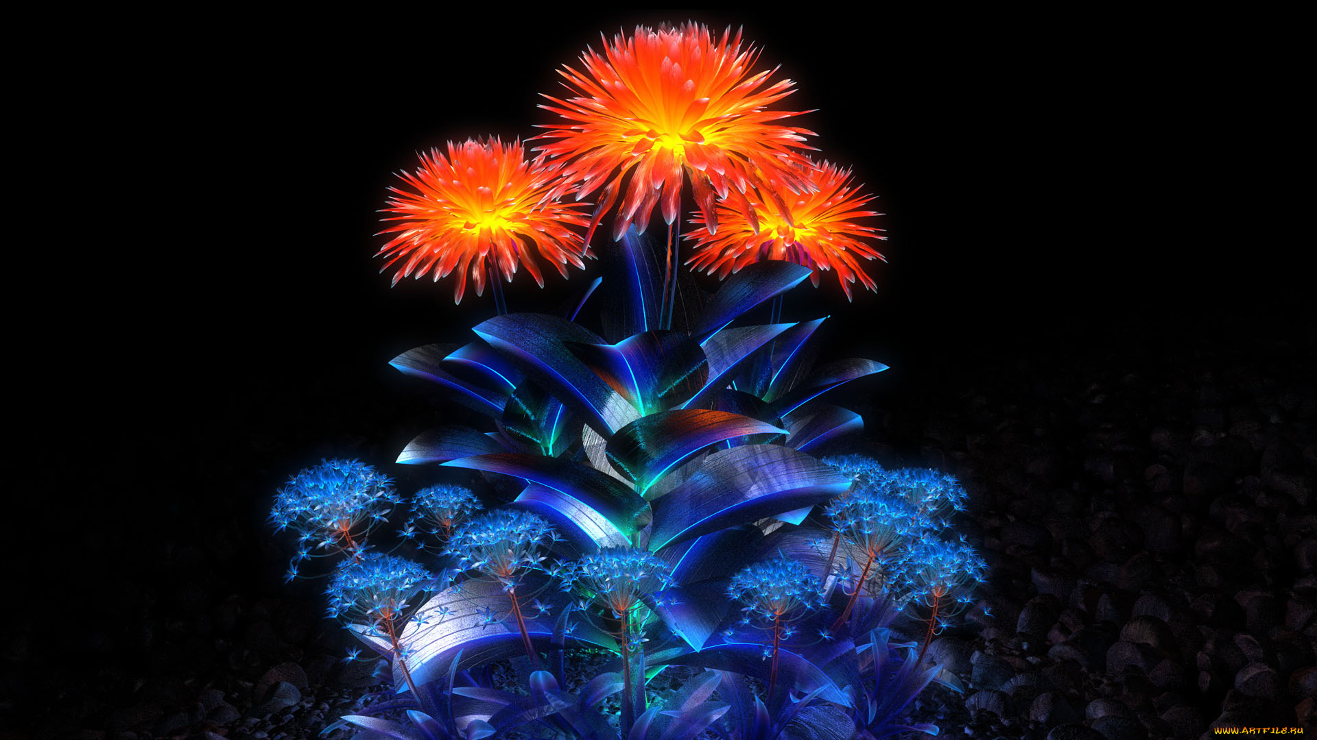 3д, графика, flowers, цветы