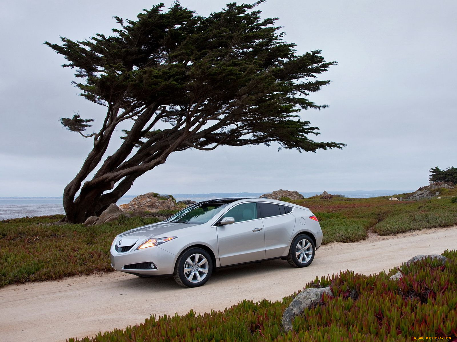 автомобили, acura