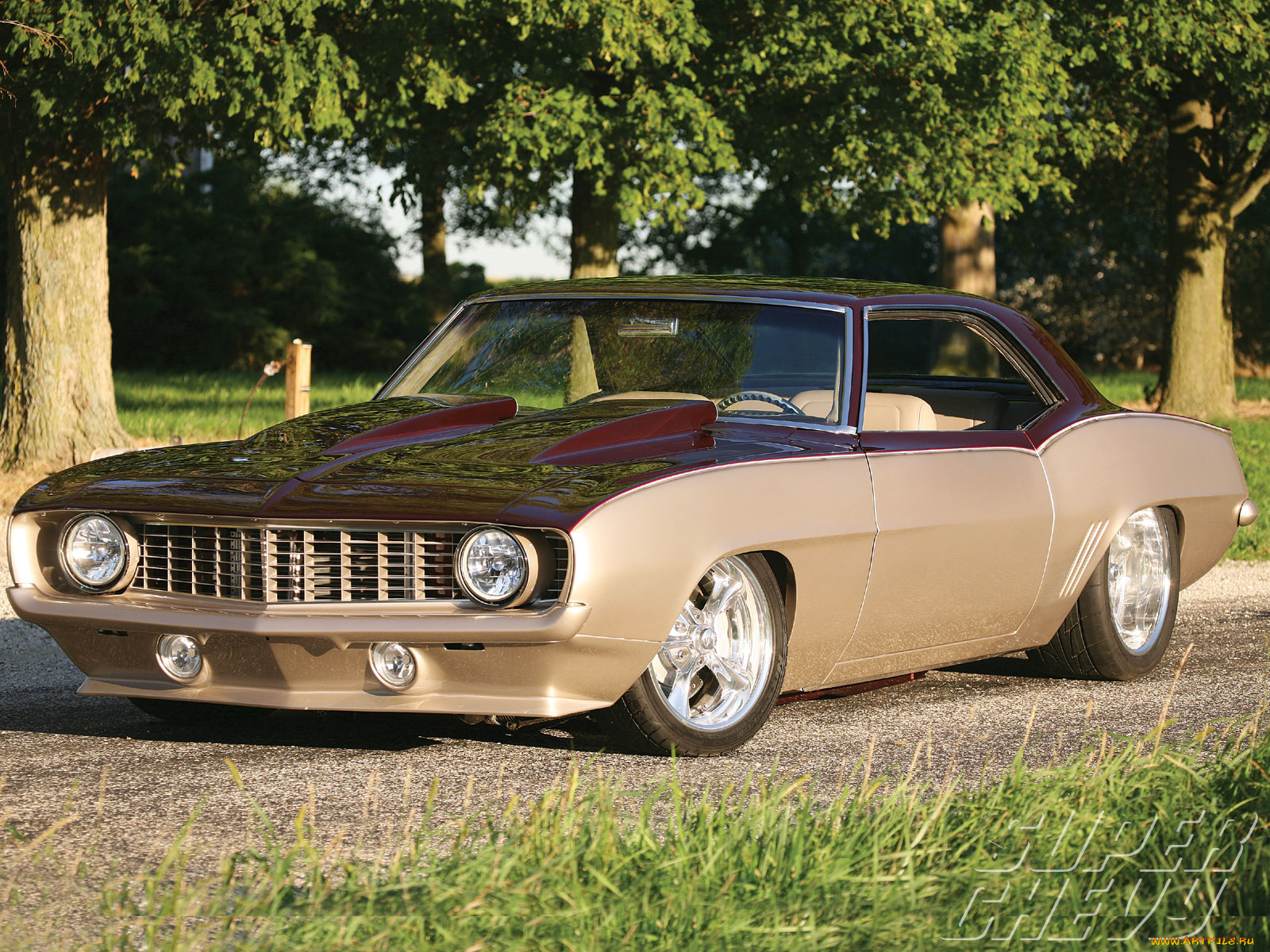 1969, chevy, camaro, автомобили