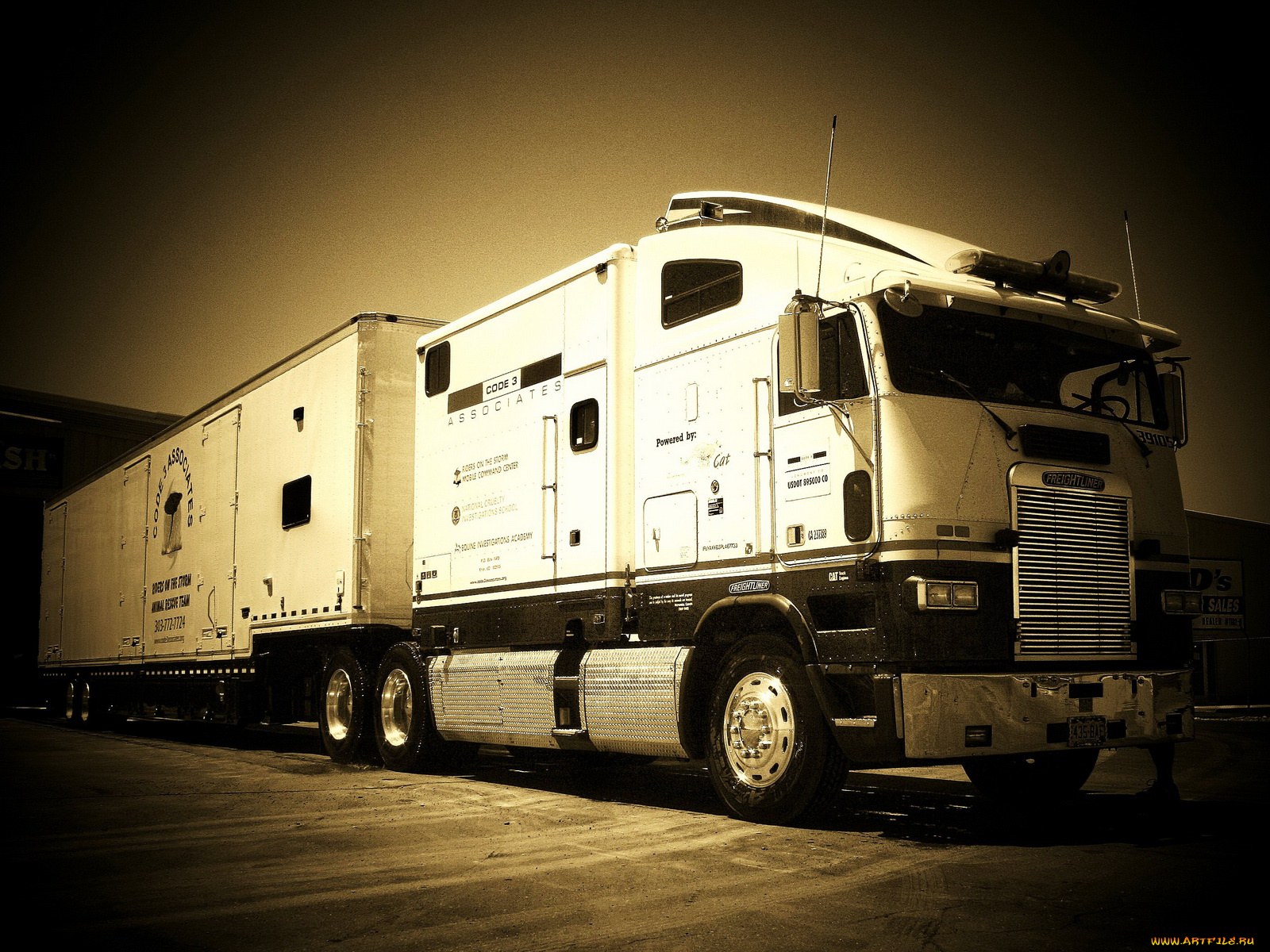 автомобили, freightliner