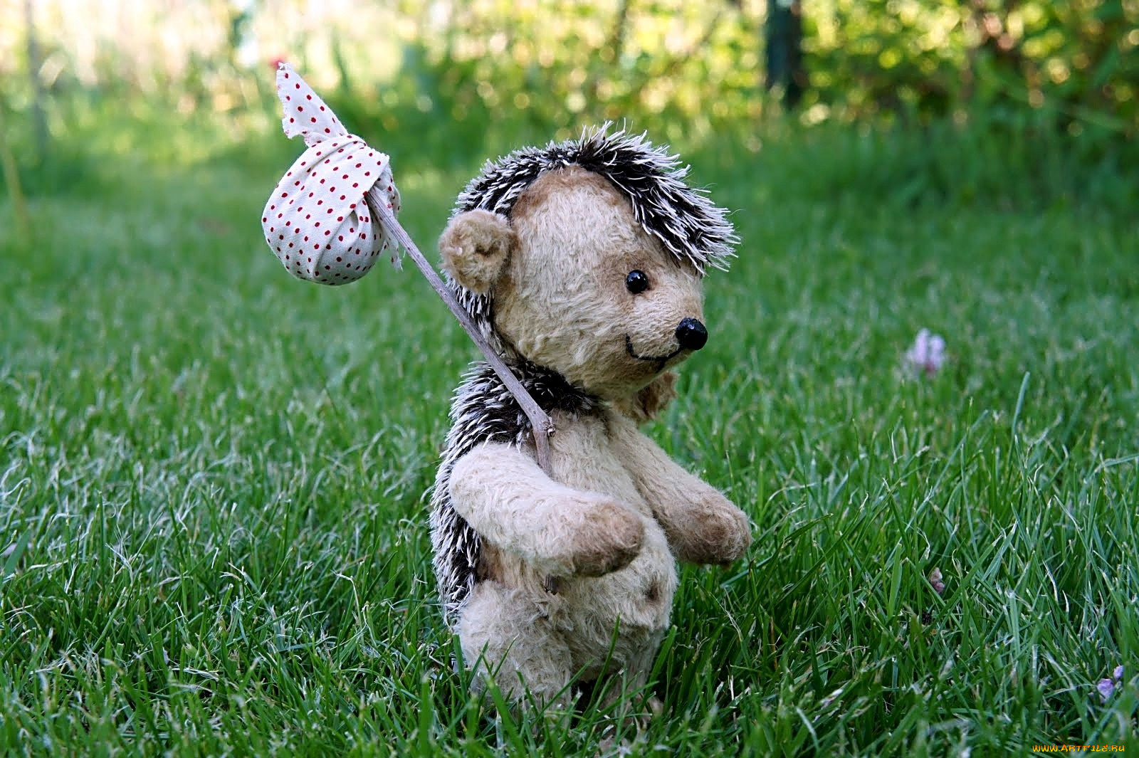 разное, игрушки, ёжик, котомка