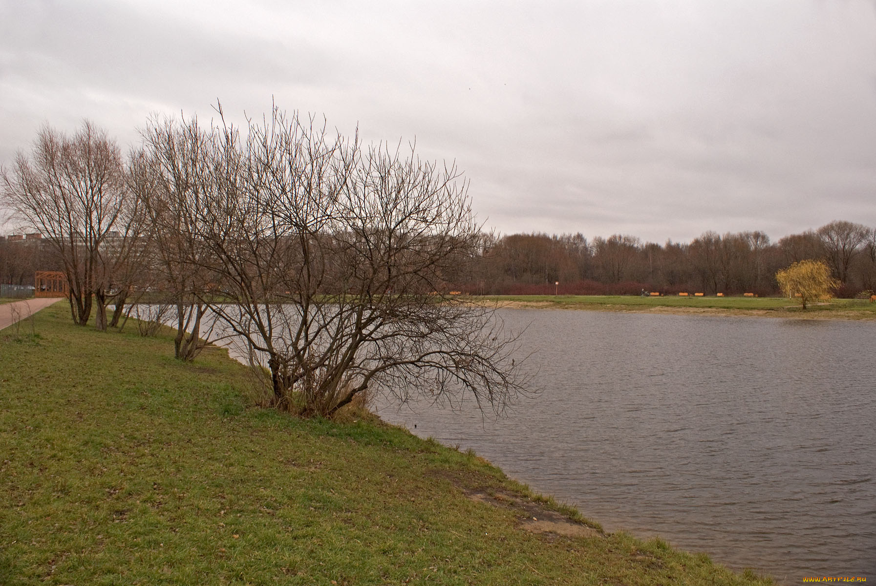 природа, реки, озера, пруд, осень, деревья