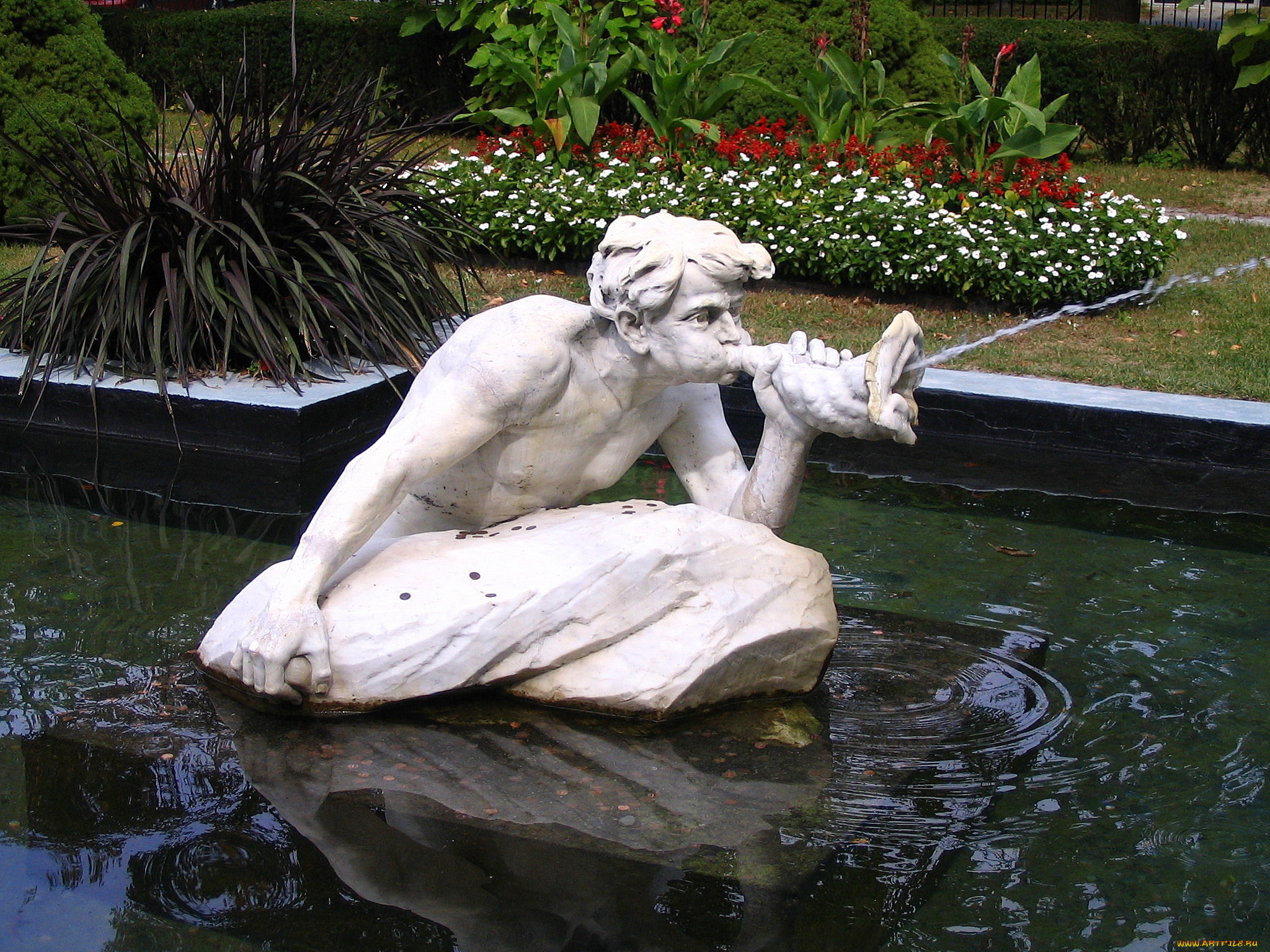 города, фонтаны, цветы, вода, кусты