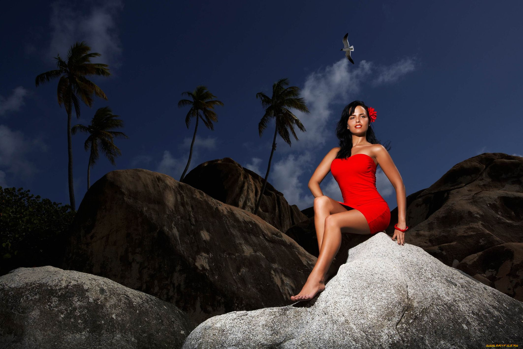 _Unsort, -НЕ, ВЫБИРАТЬ, , , девушки, , не, выбирать, камень, пальма, браслет, платье