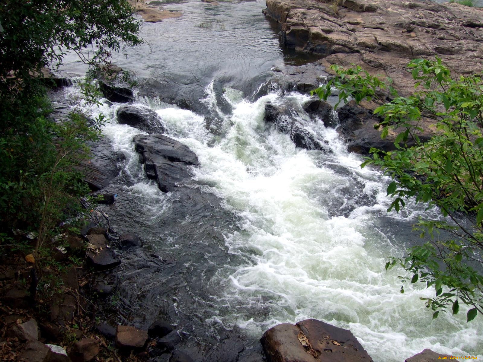 природа, реки, озера, река, камни