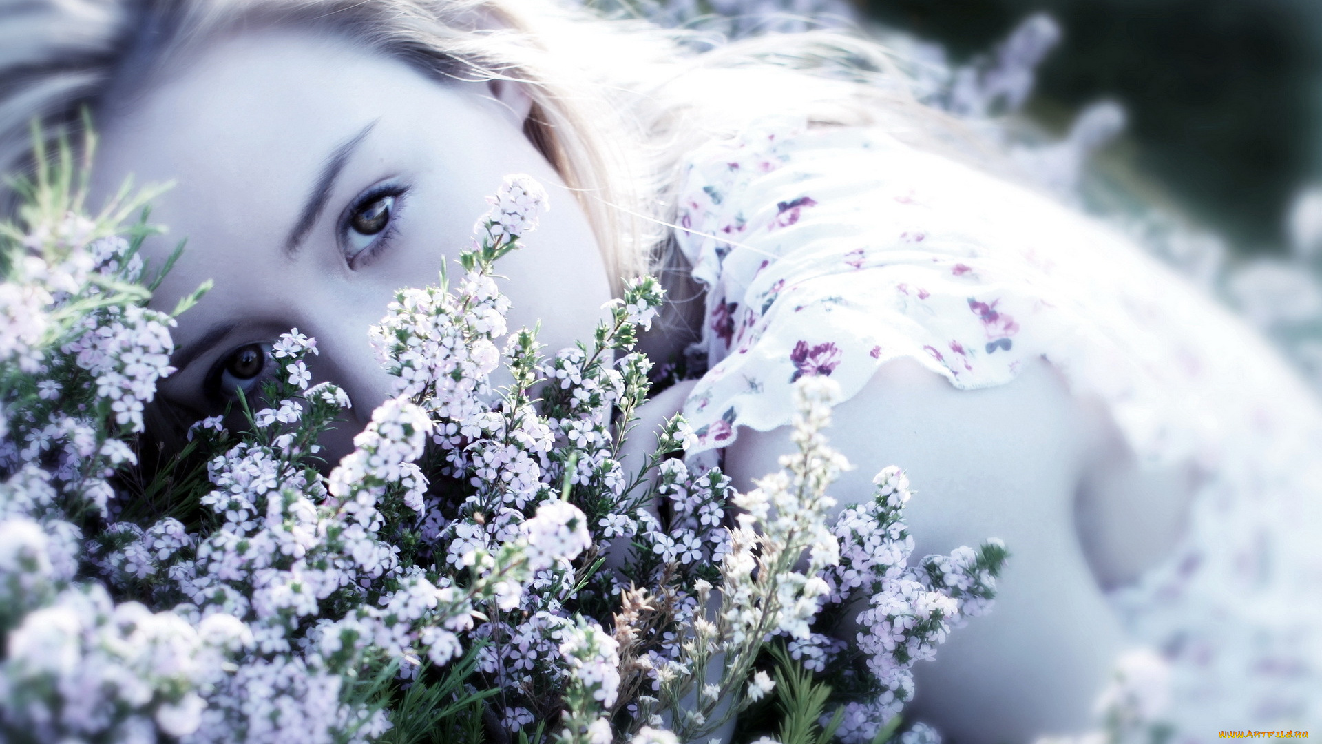 -Unsort, Лица, Портреты, девушки, unsort, лица, портреты, цветы