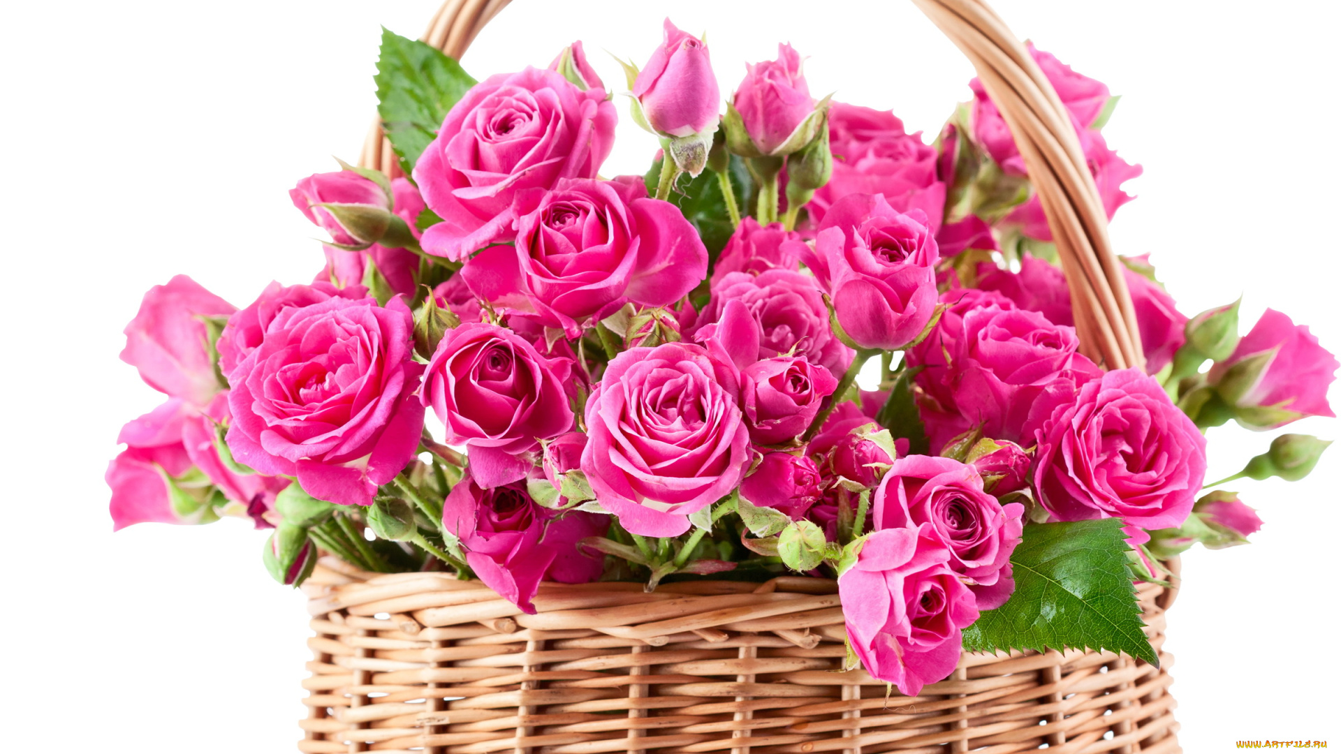 цветы, розы, букет, корзина