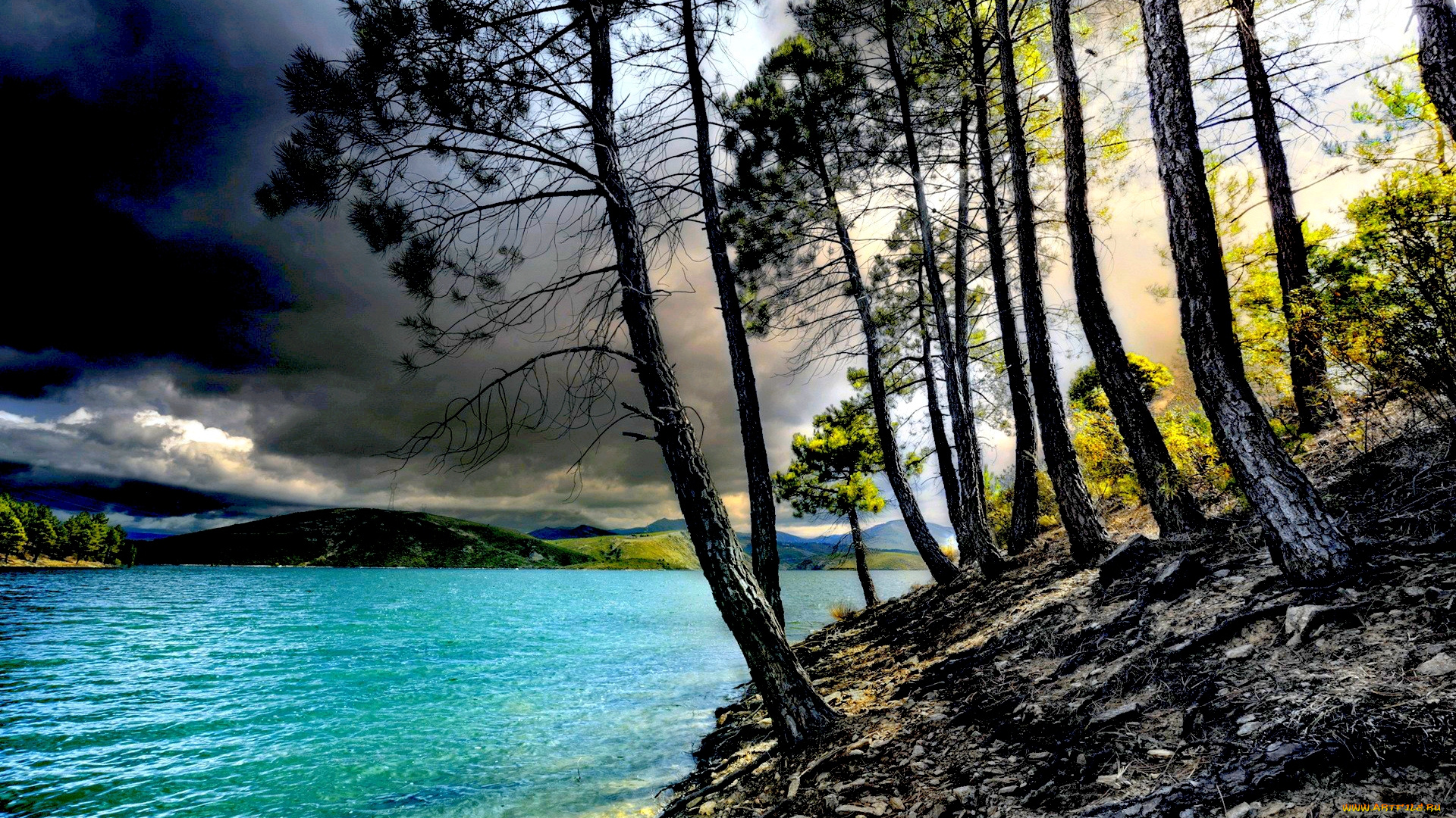 gloomy, day, at, lake, природа, реки, озера, озеро, берег, деревья