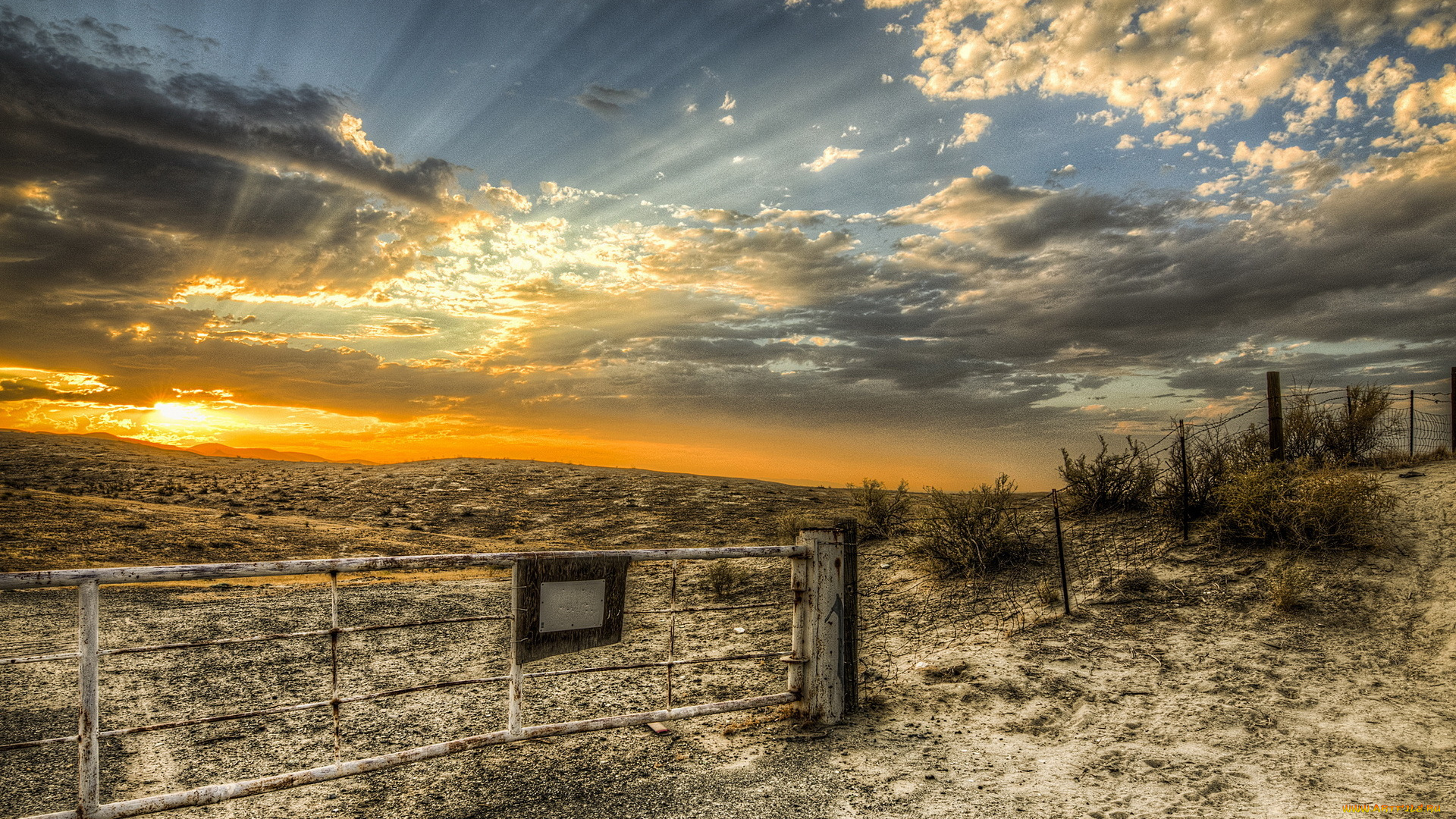 landscape, природа, восходы, закаты, рассвет, изгородь, поле