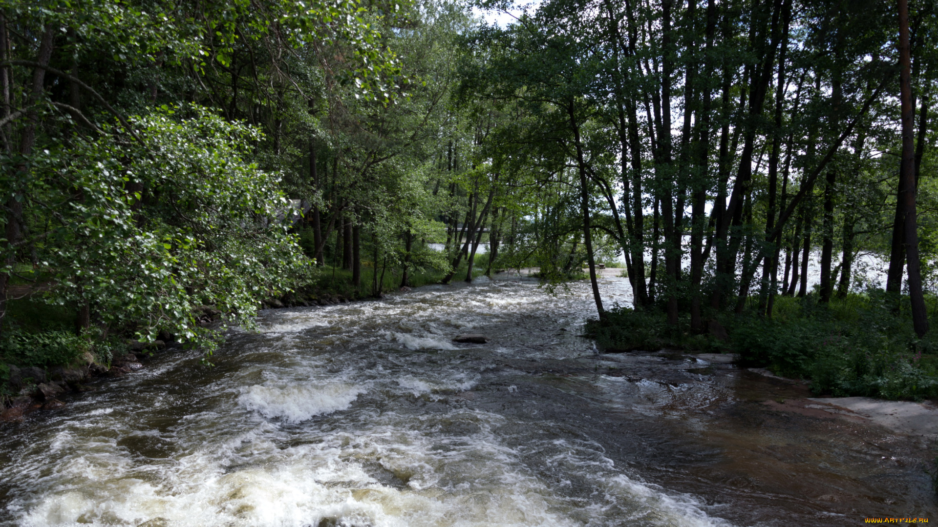 langinkoski, finland, кюми, природа, реки, озера, лес, река