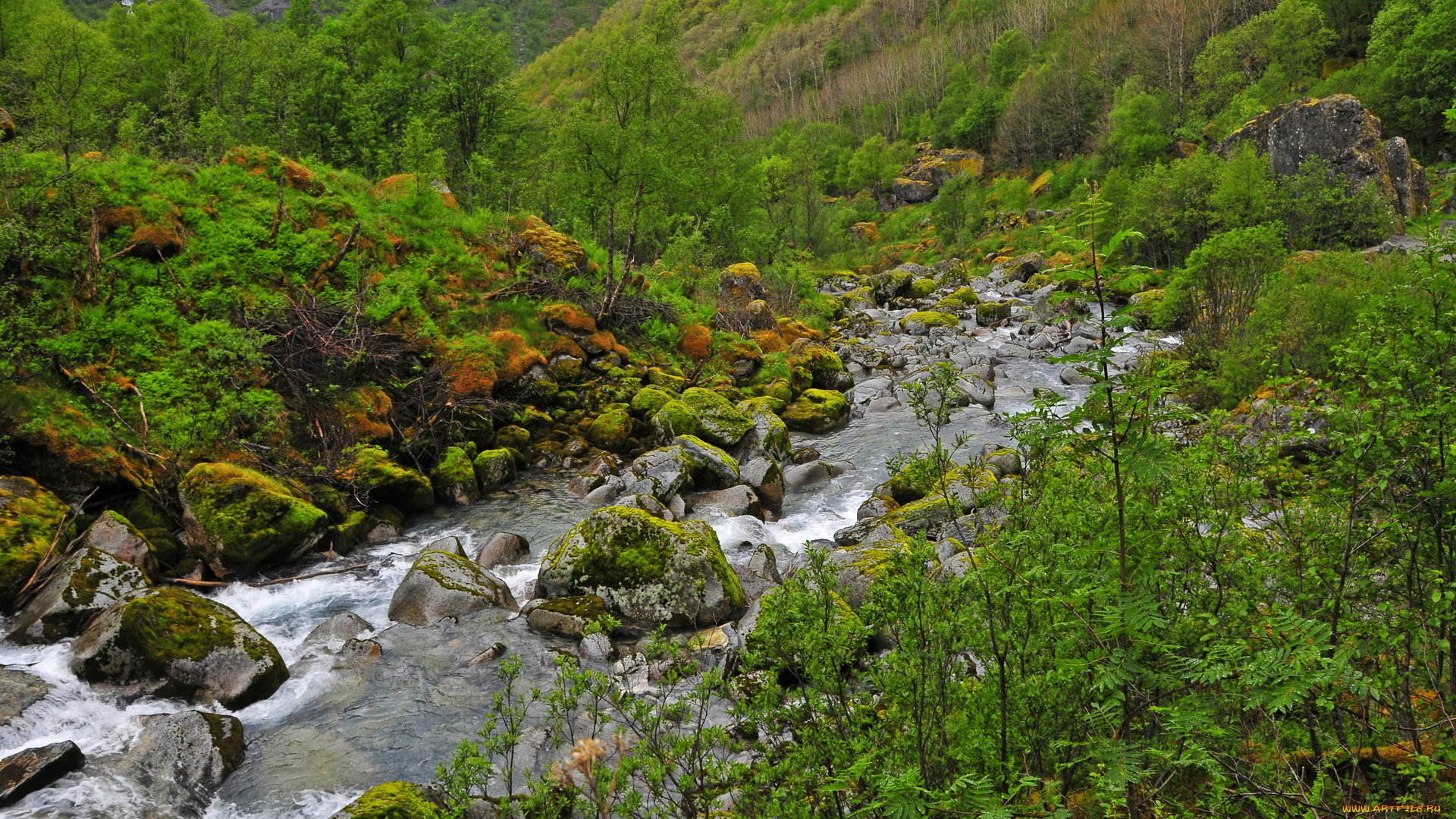 норвегия, briksdalsbre, jostedalsbreen, nacional, park, природа, реки, озера, растения, водопад